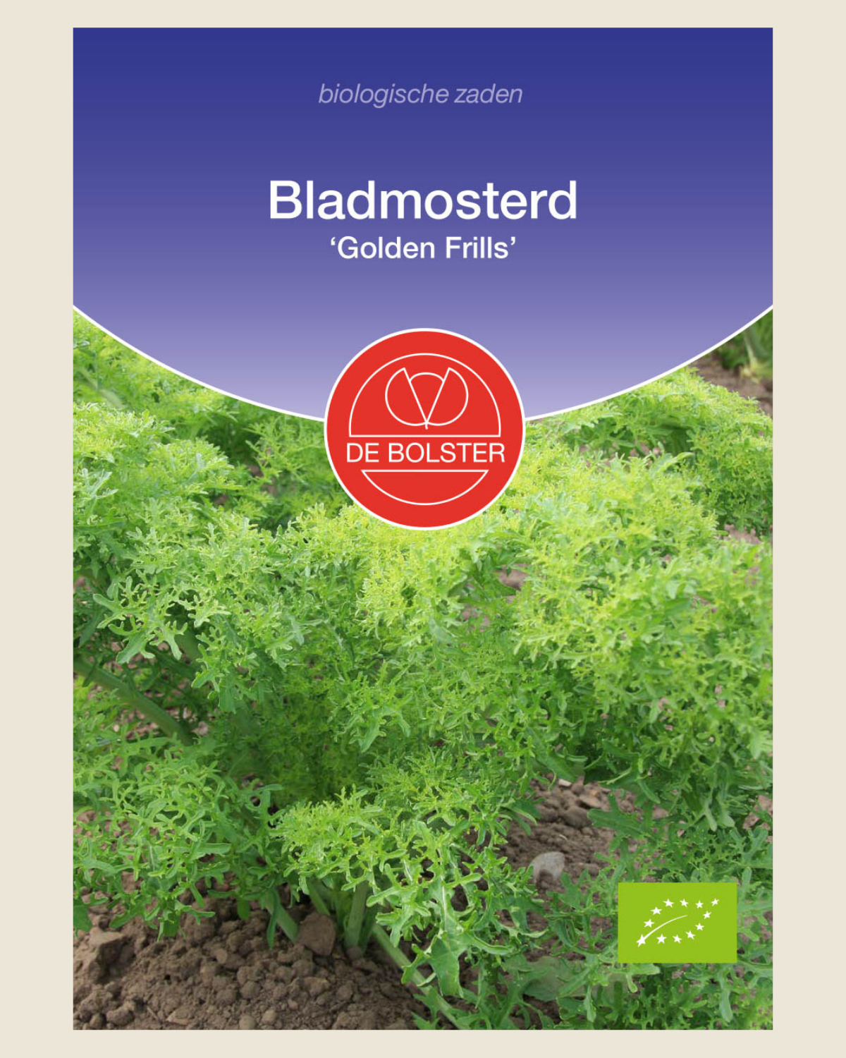 Bladmosterd 'Golden Frills' BIO
