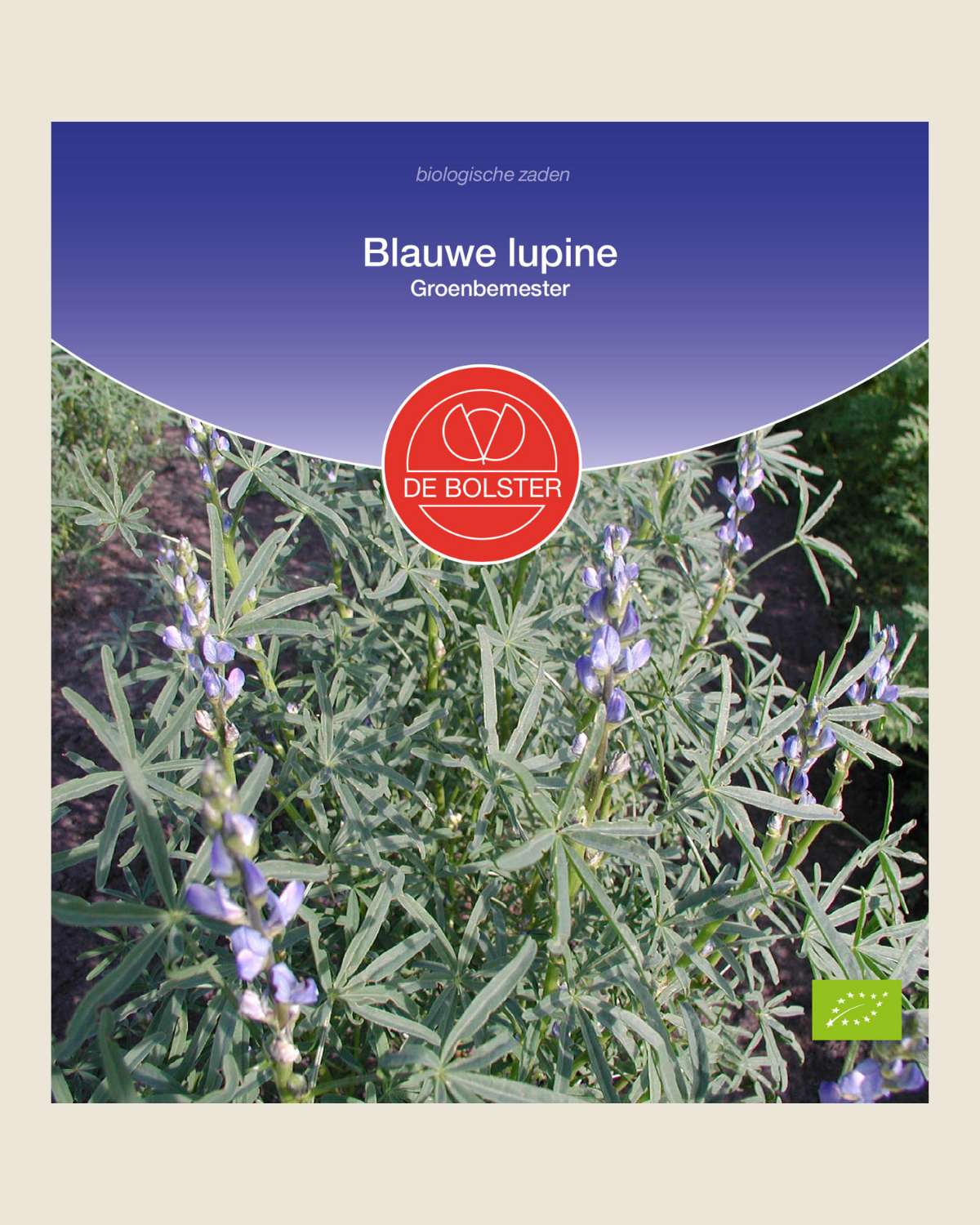 Blauwe lupine BIO