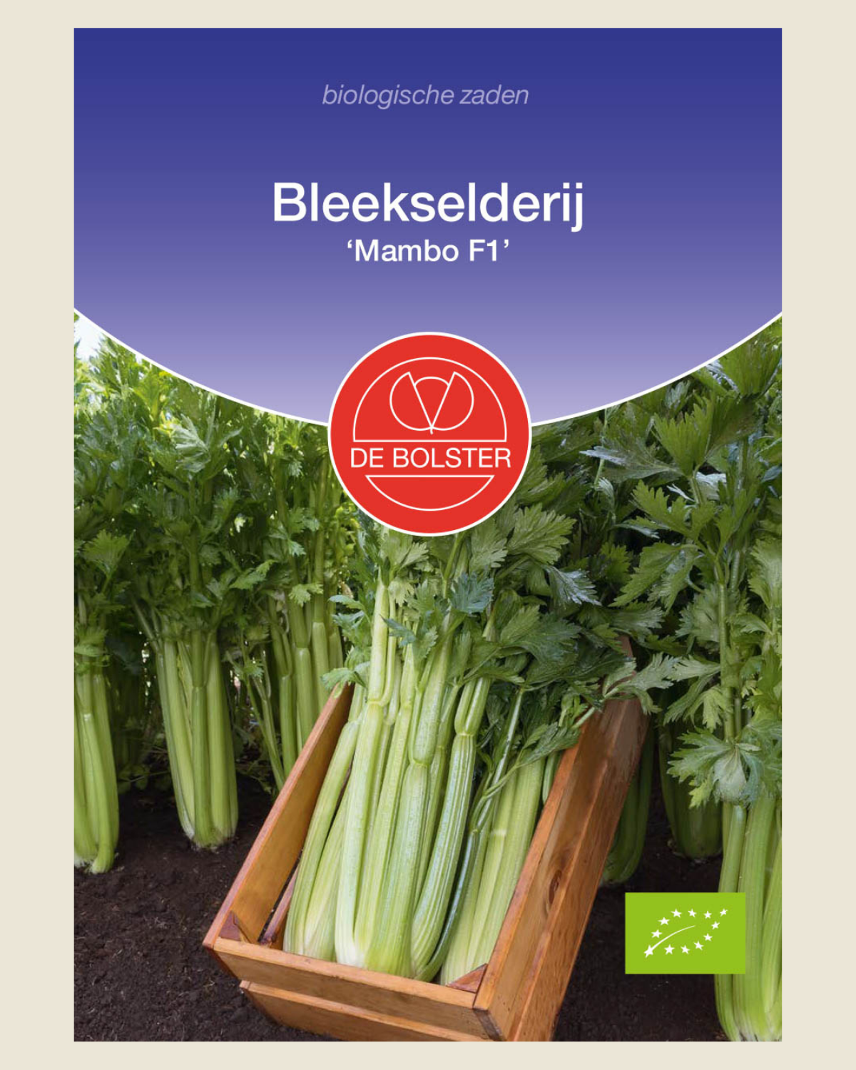 Bleekselderij 'Mambo F1' BIO