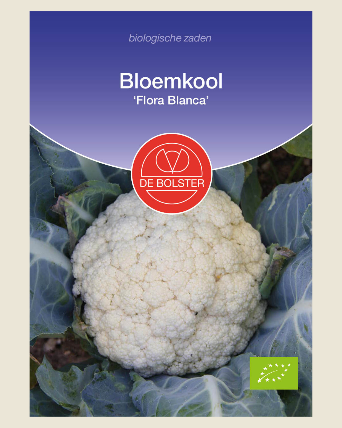Bloemkool 'Flora Blanca' BIO