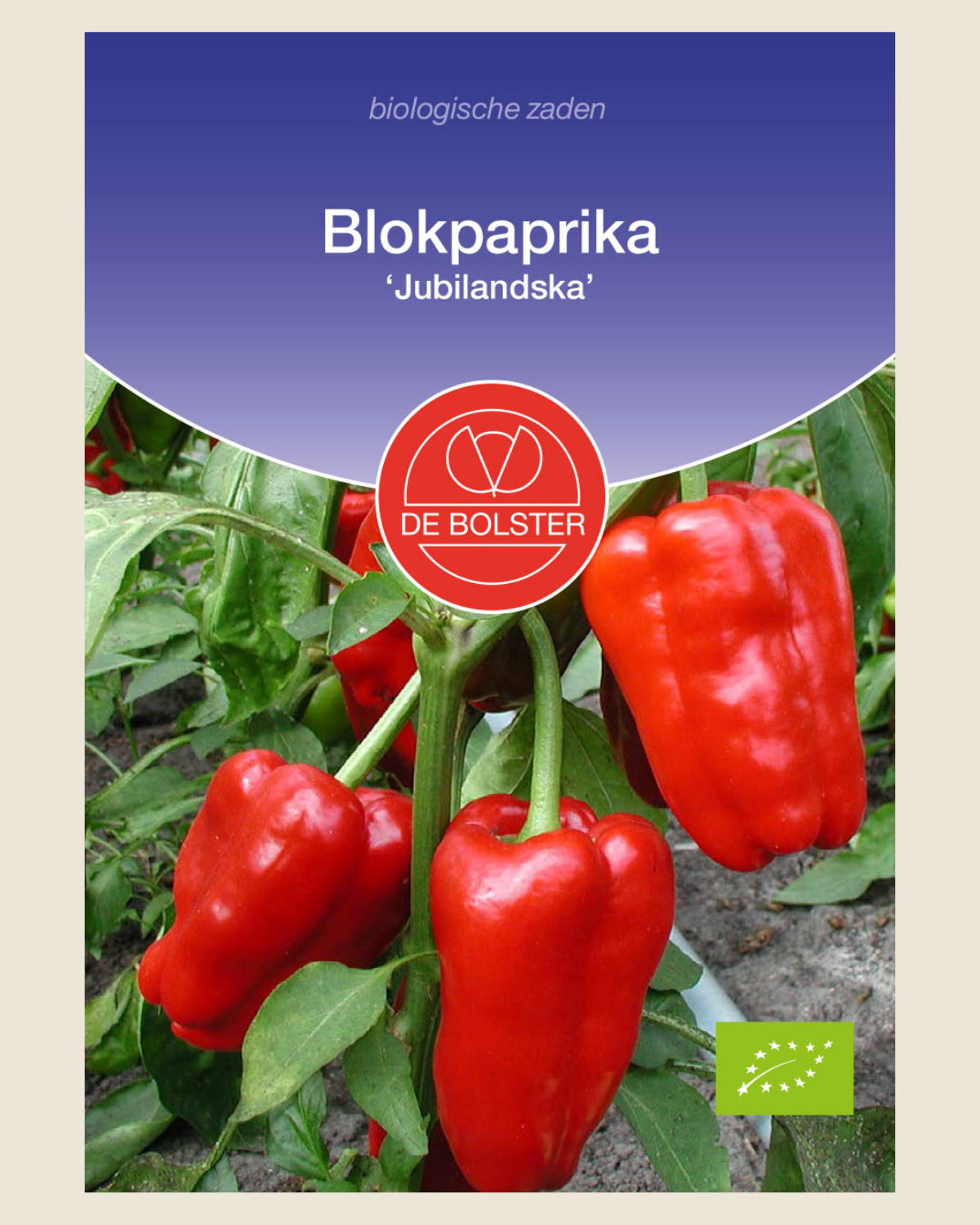 Blokpaprika 'Jubilandska' BIO