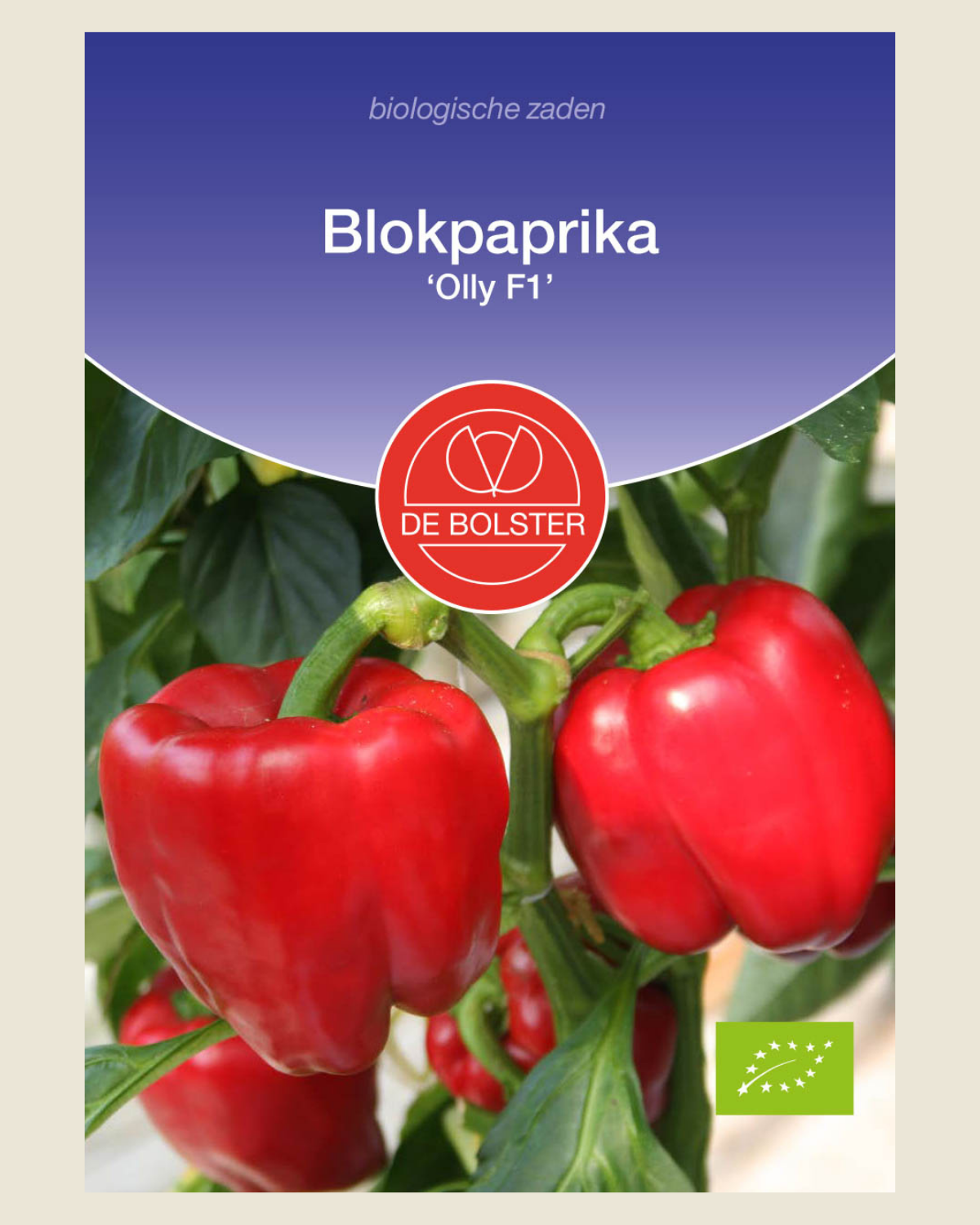 Blokpaprika 'Olly F1' BIO