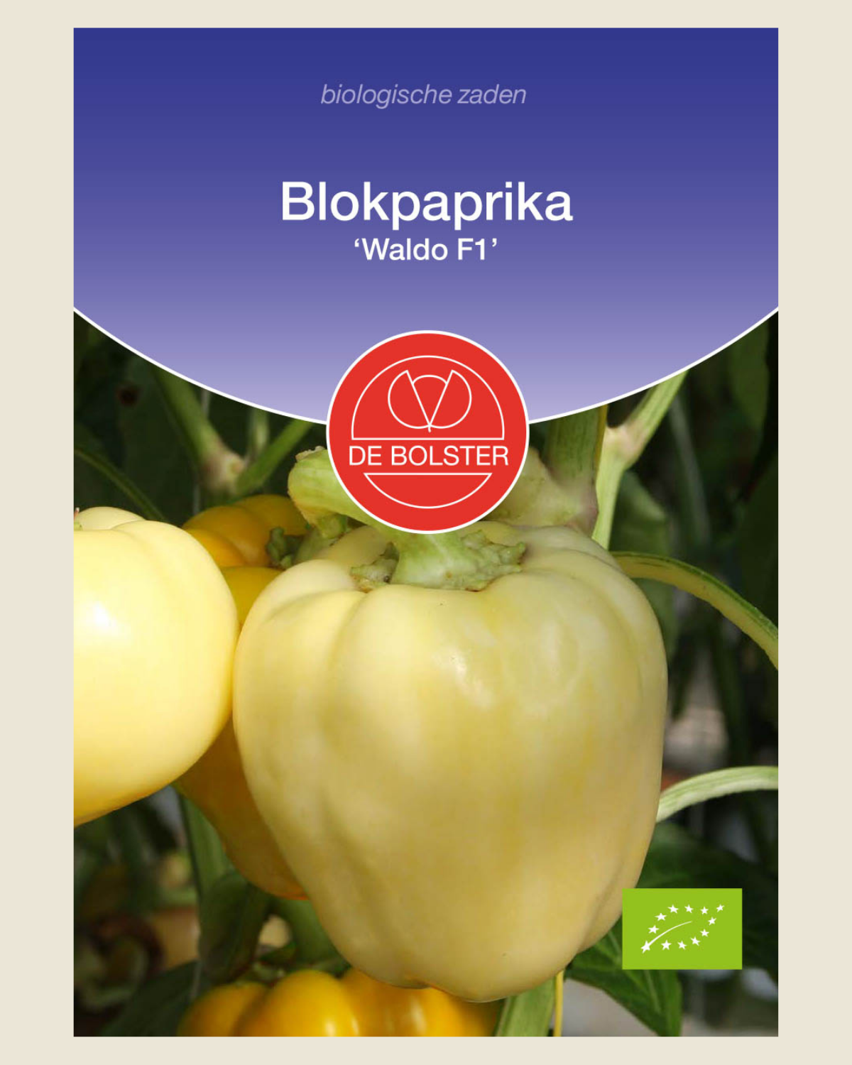 Blokpaprika 'Waldo F1' BIO