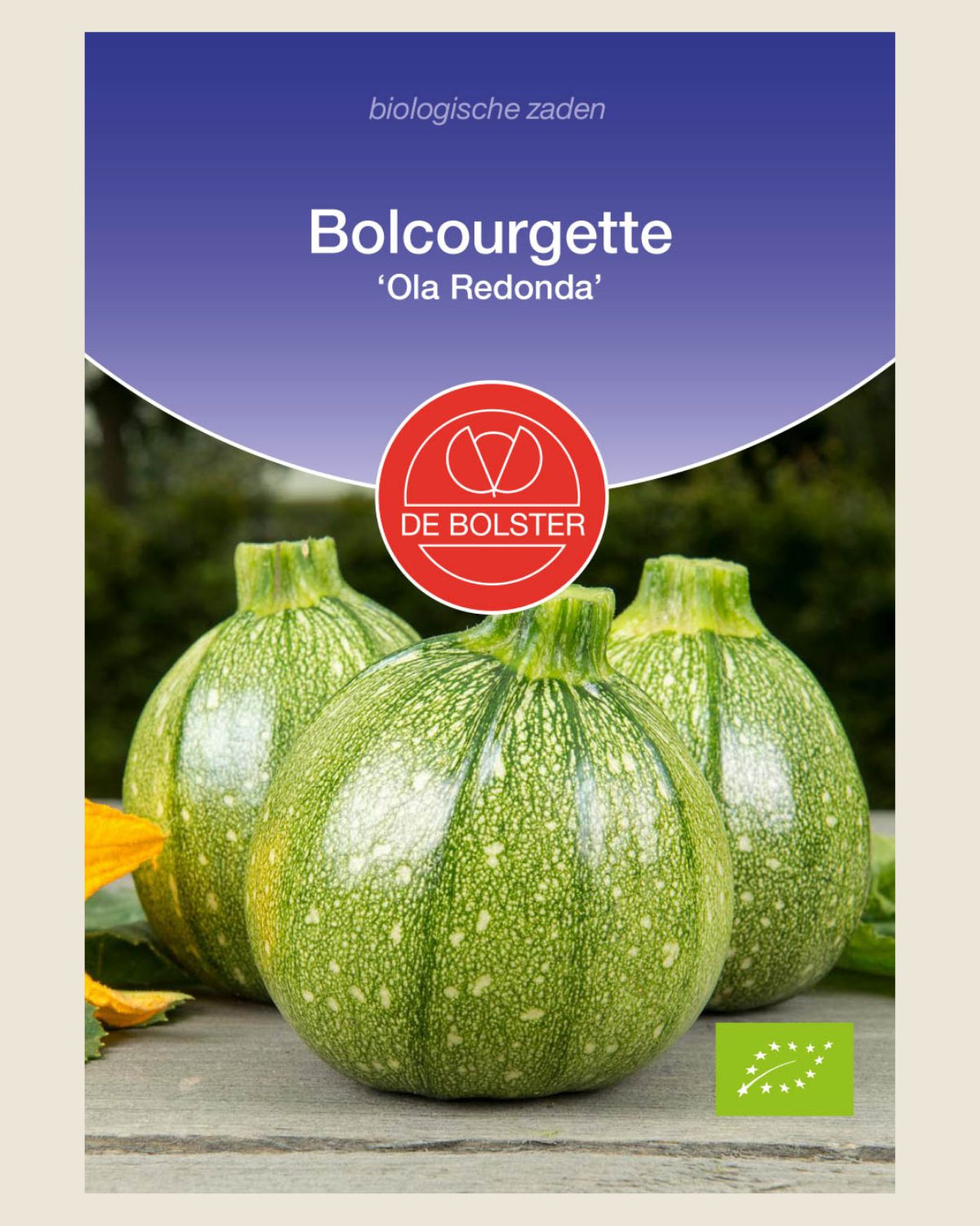 Bolcourgette 'Ola Redonda' BIO