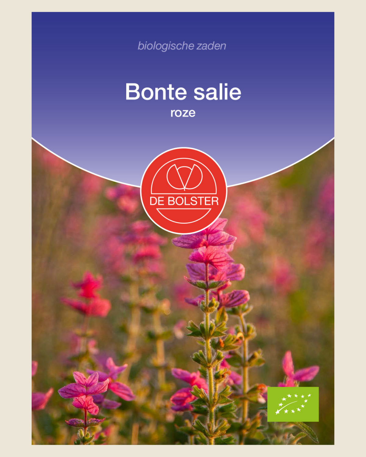 Bonte salie, roze BIO