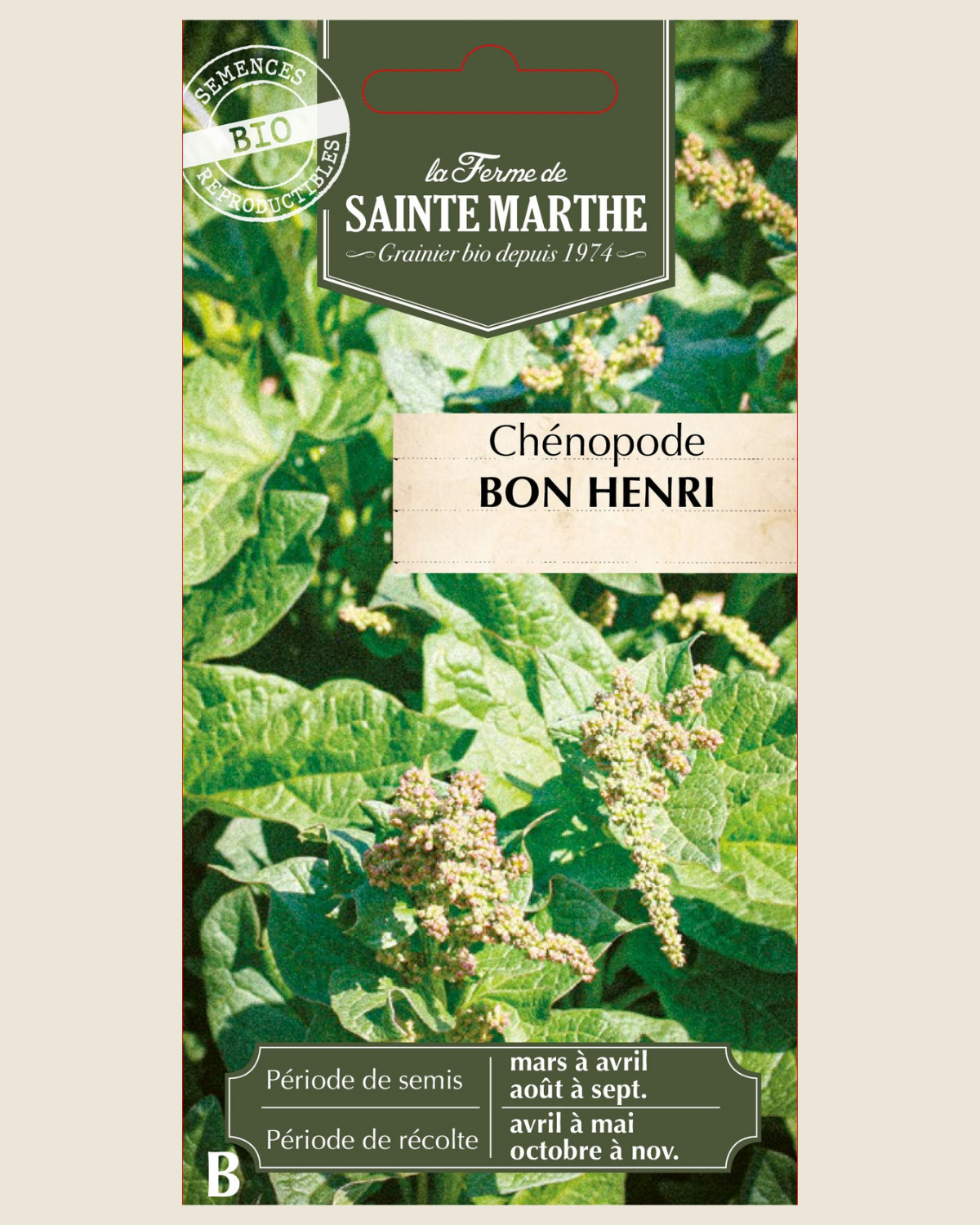Brave Hendrik BIO zakje - De Groene Makers