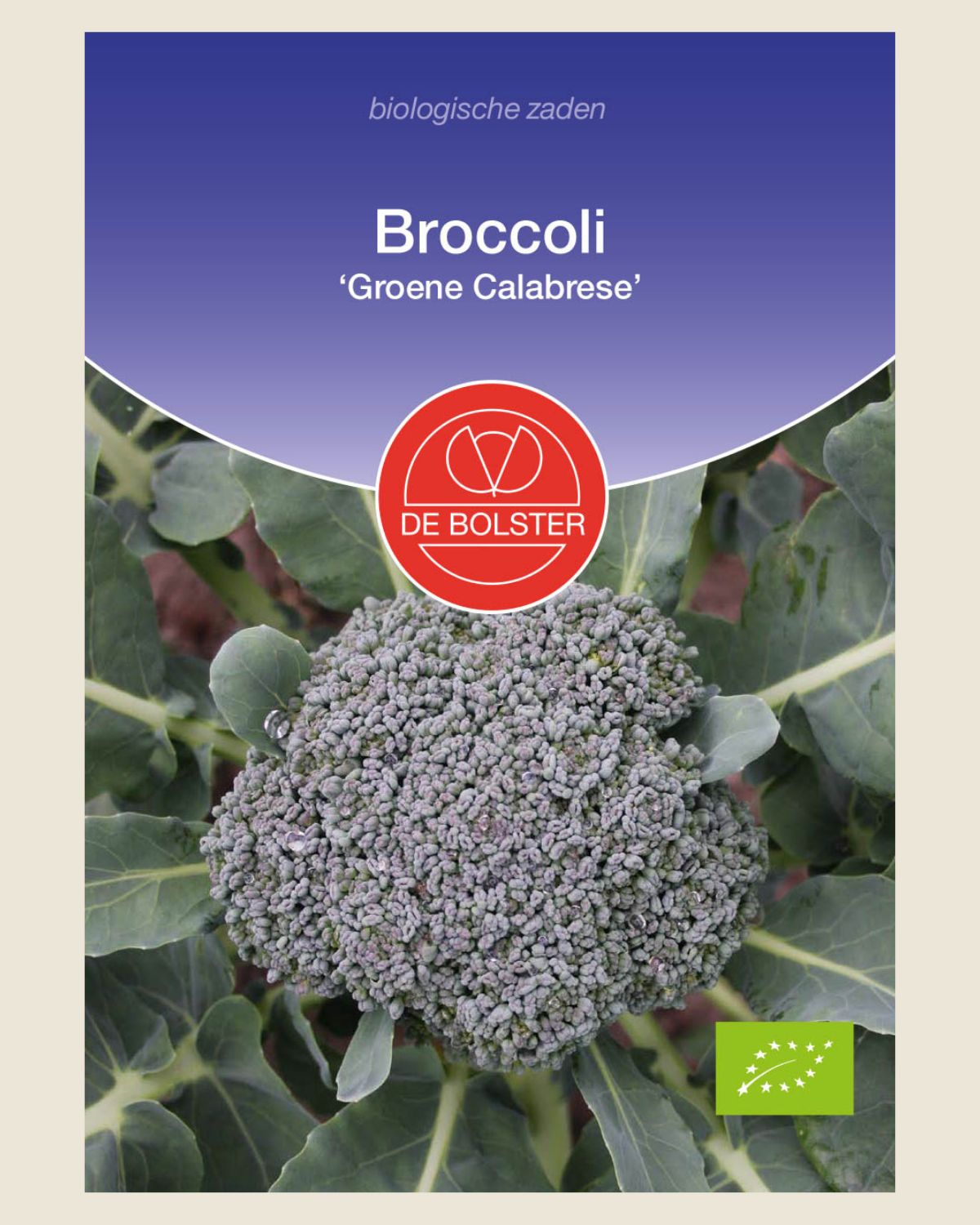 Broccoli 'Groene Calabrese' BIO