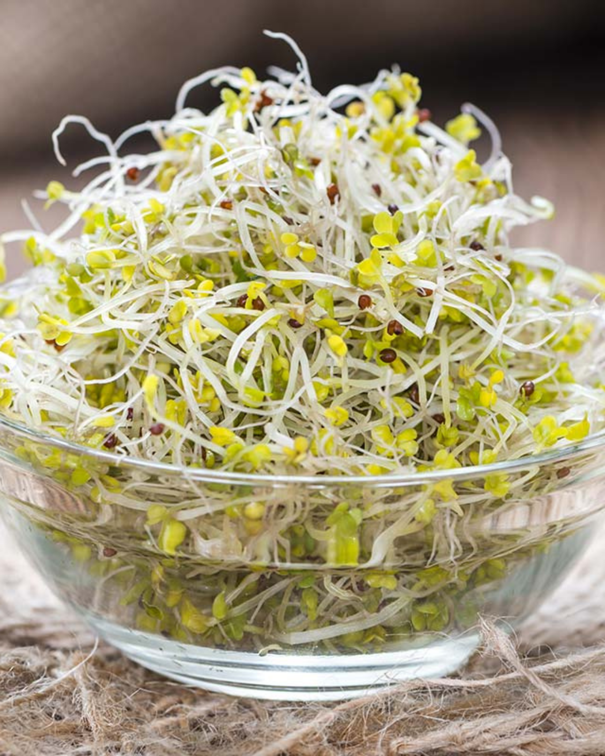 Broccolikers BIO