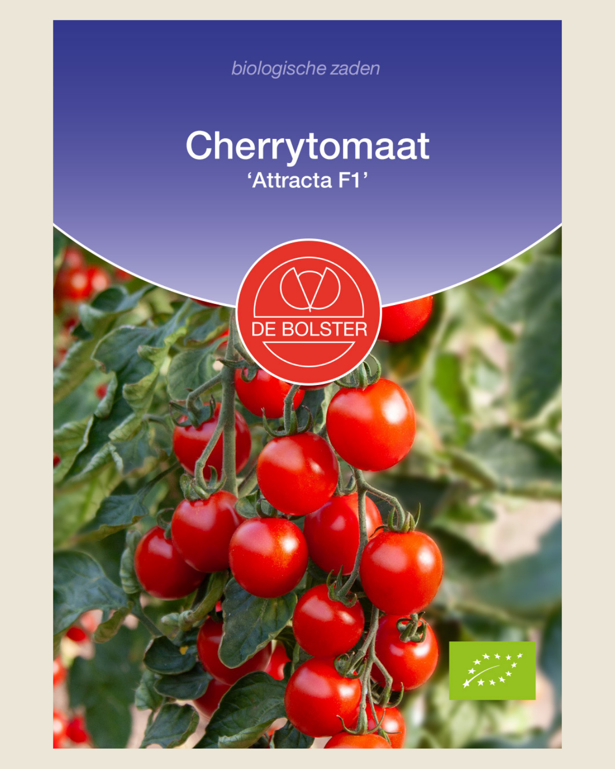 Cherrytomaat 'Attracta F1' BIO