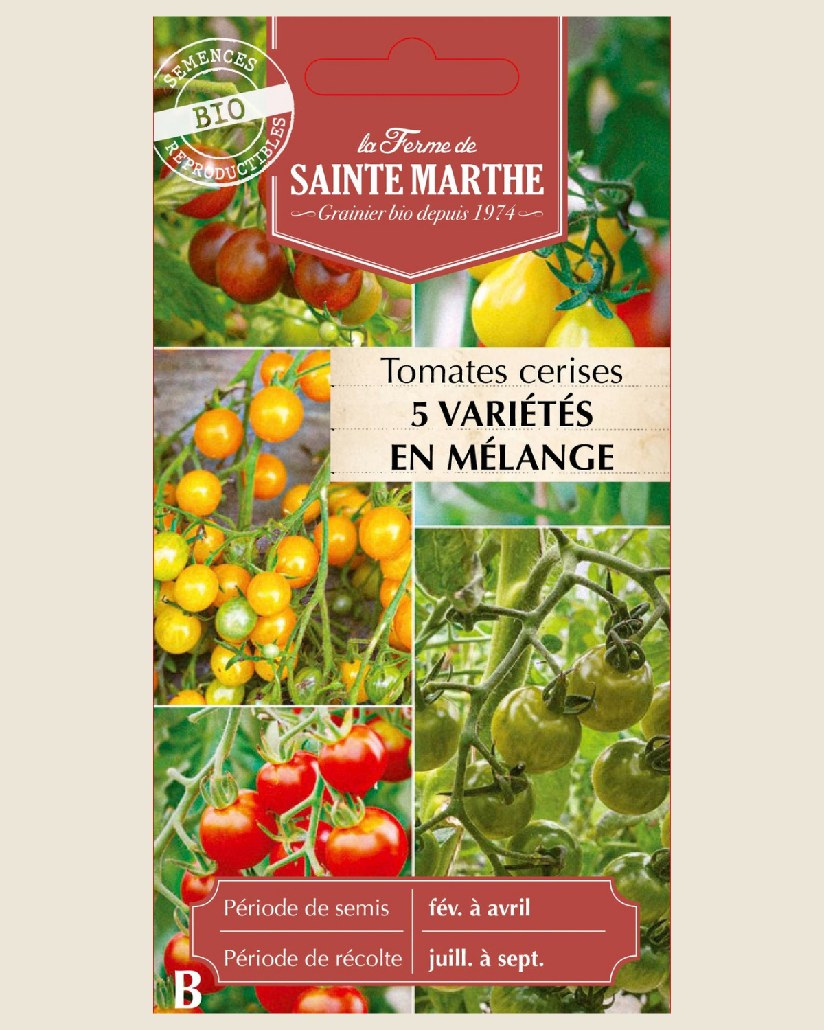 Cherrytomaten mix (5 soorten) BIO zakje - De Groene Makers