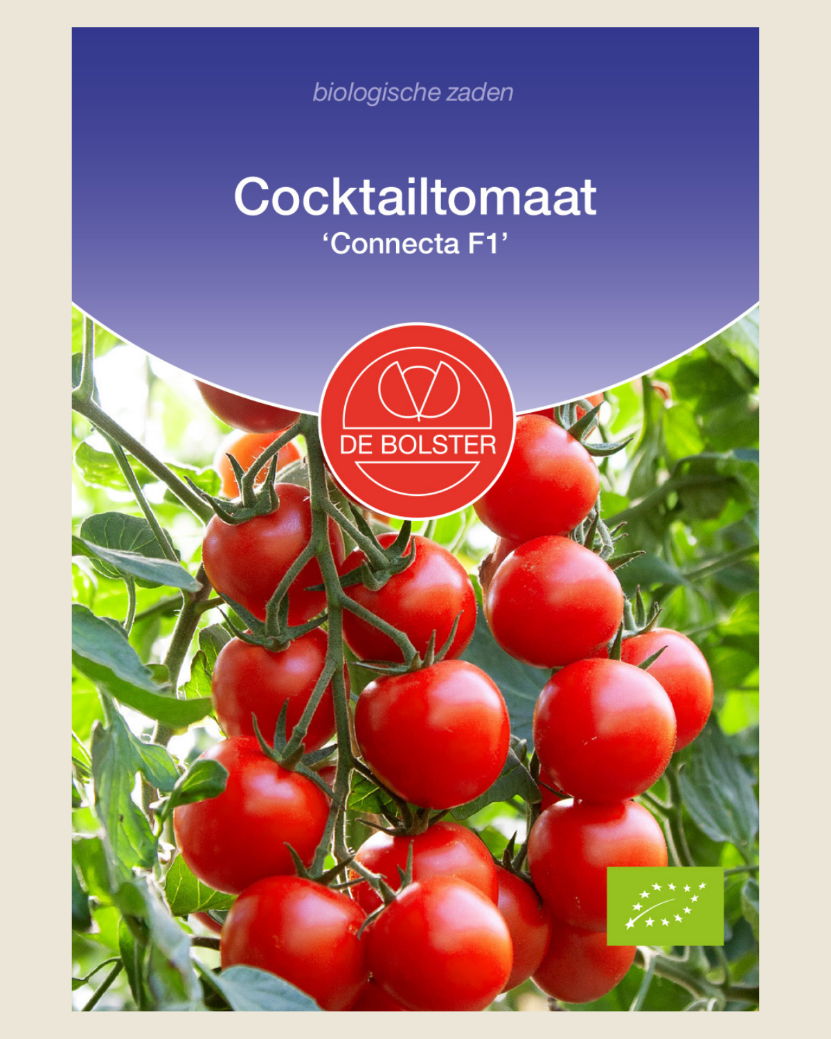 Cocktailtomaat 'Connecta F1' BIO
