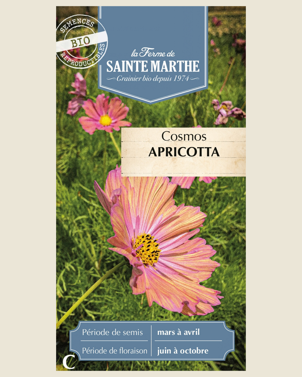 Cosmea 'Apricotta' BIO zakje - De Groene Makers