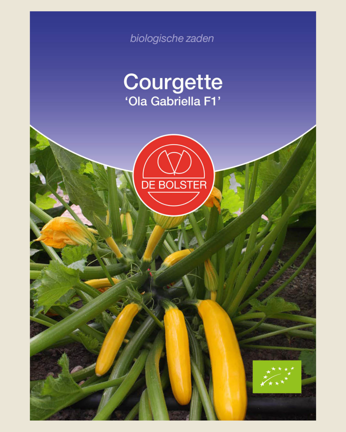 Courgette 'Ola Gabriella F1' BIO