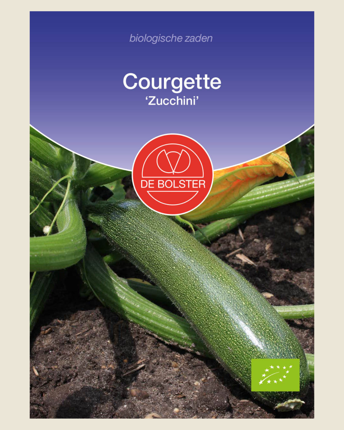Courgette 'Zucchini' BIO