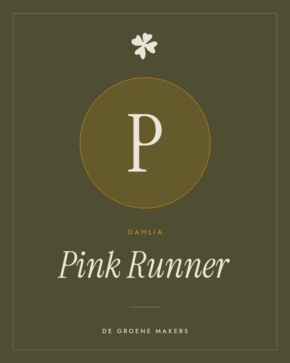 Dahlia ‘Pink Runner’ BIO