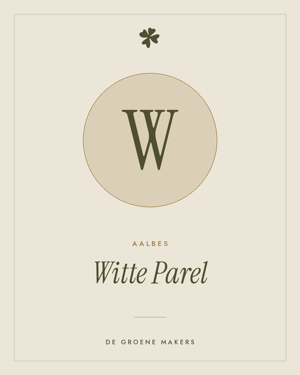 Aalbes 'Witte Parel' – De Groene Makers
