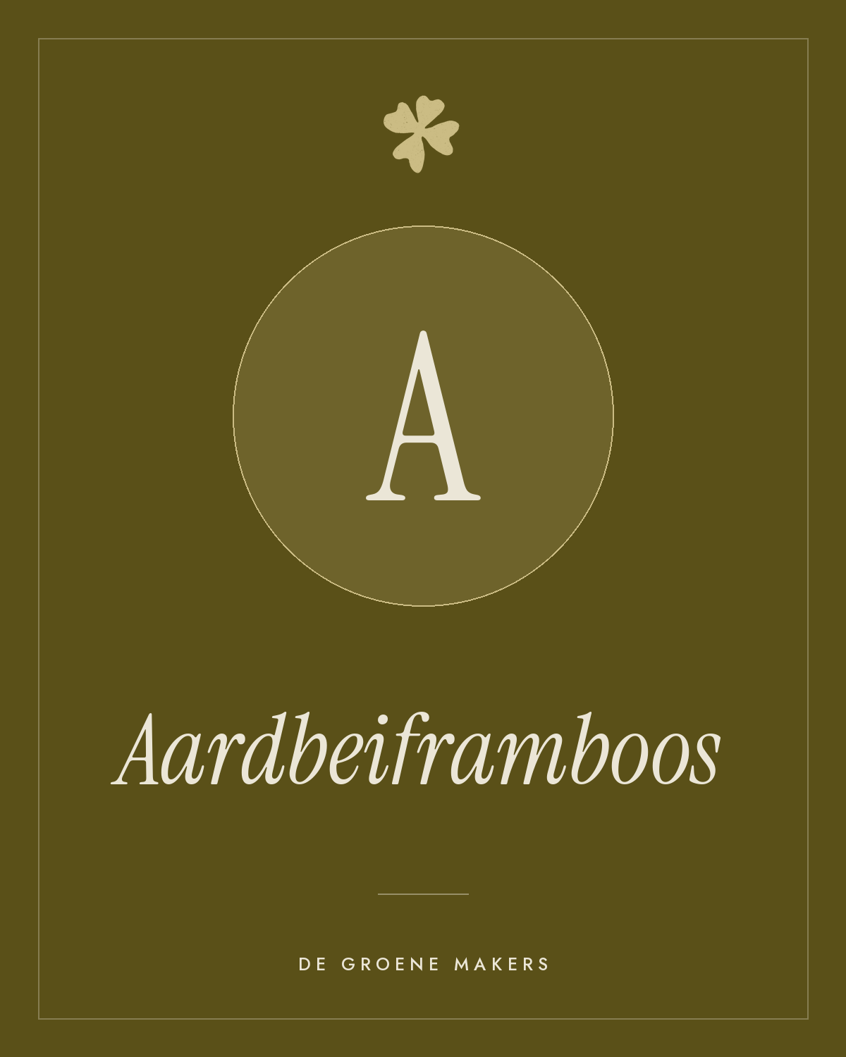 Aardbeiframboos - De Groene Makers