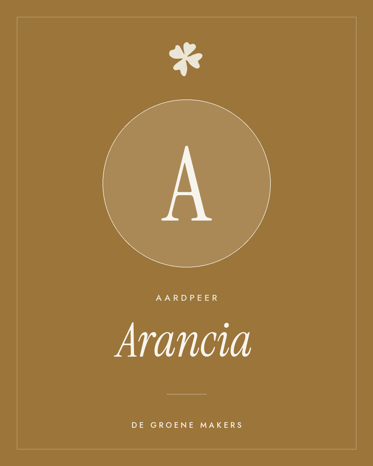 Aardpeer ‘Arancia’ - De Groene Makers