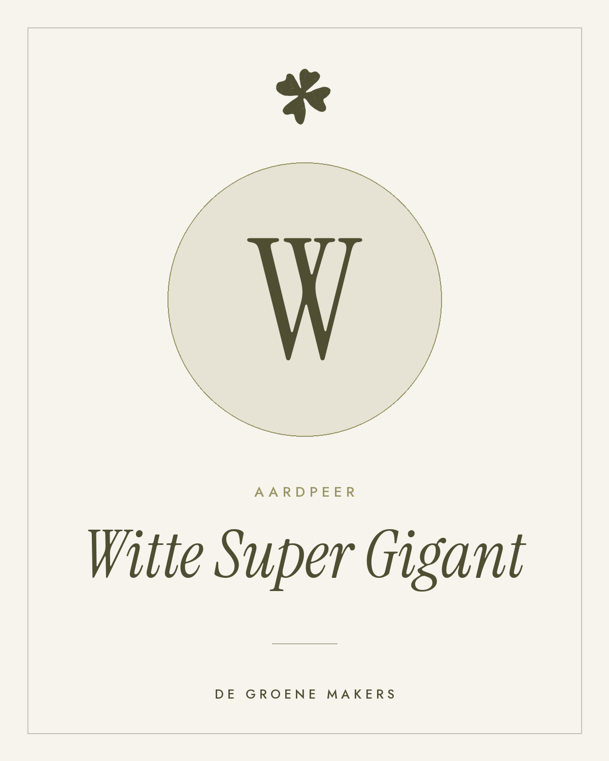 Aardpeer ‘Witte Super Gigant’ - De Groene Makers