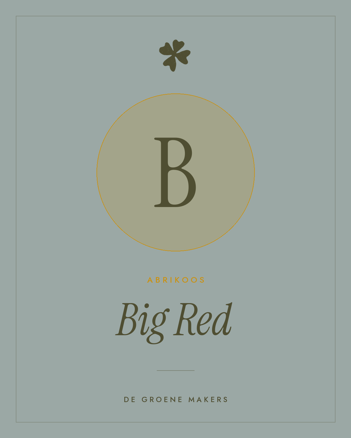 Abrikoos ‘Big Red’ - De Groene Makers
