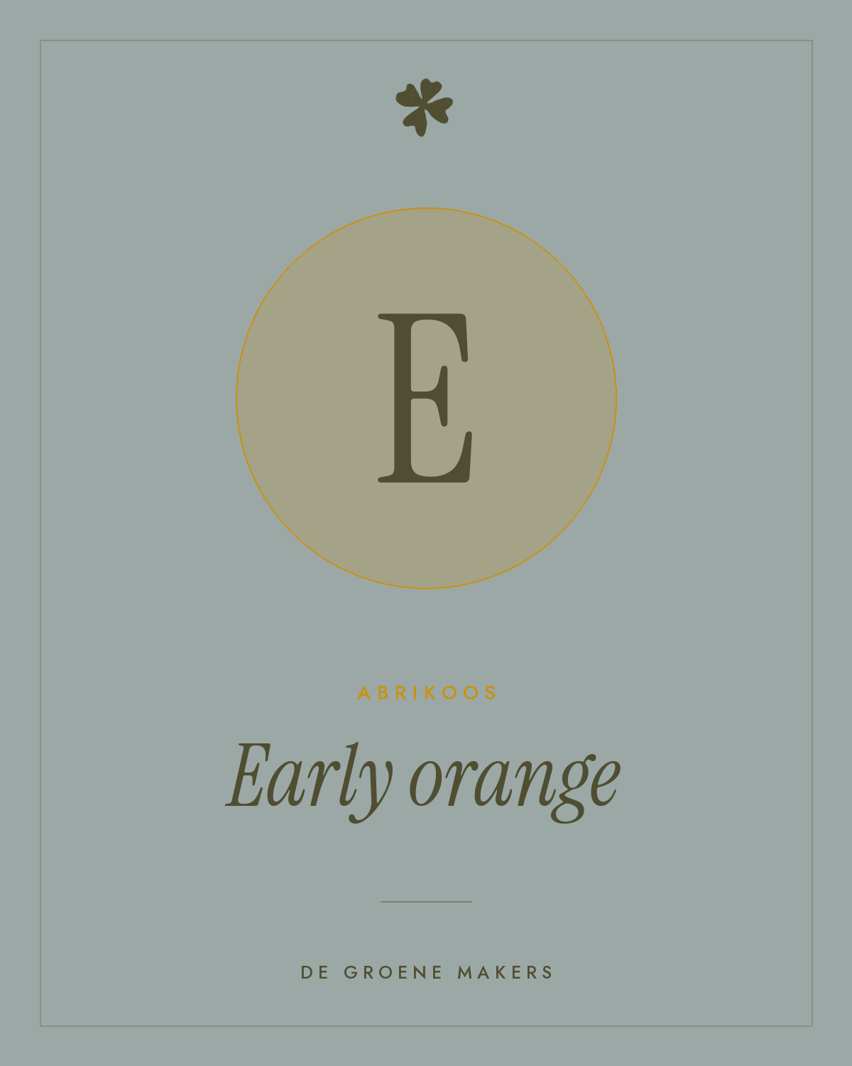 Abrikoos 'Early orange' – De Groene Makers