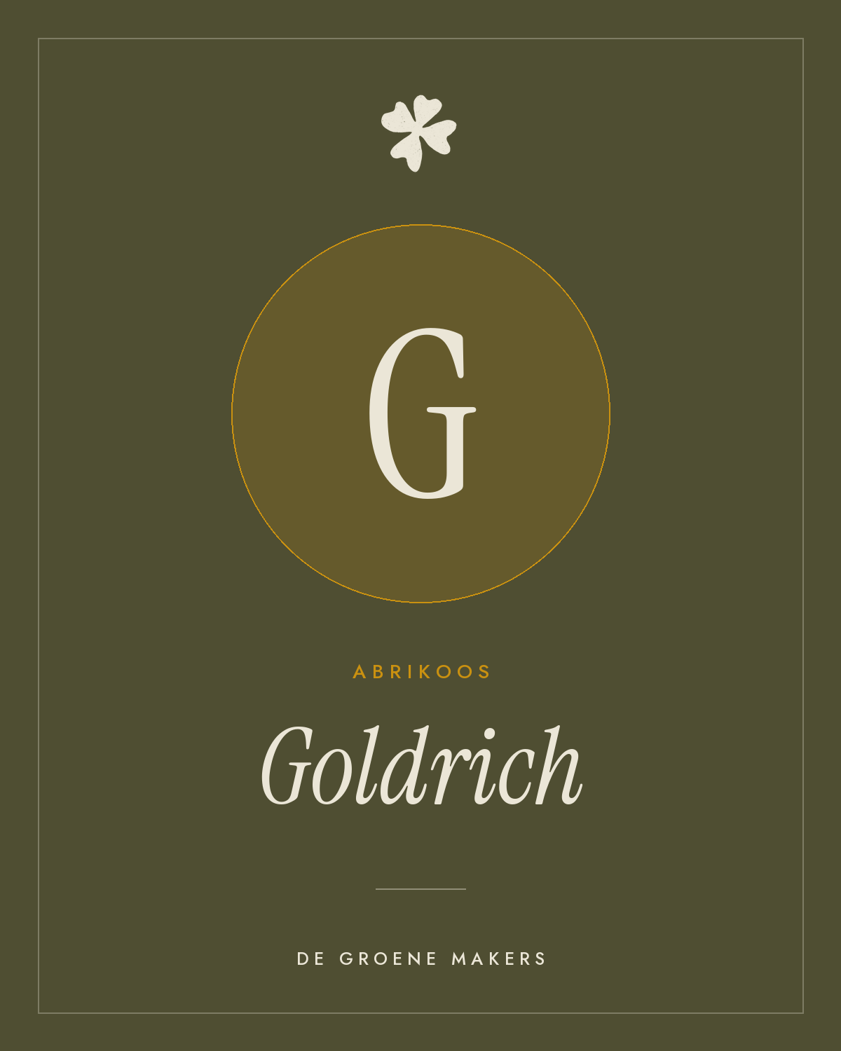 Abrikoos ‘Goldrich’ - De Groene Makers