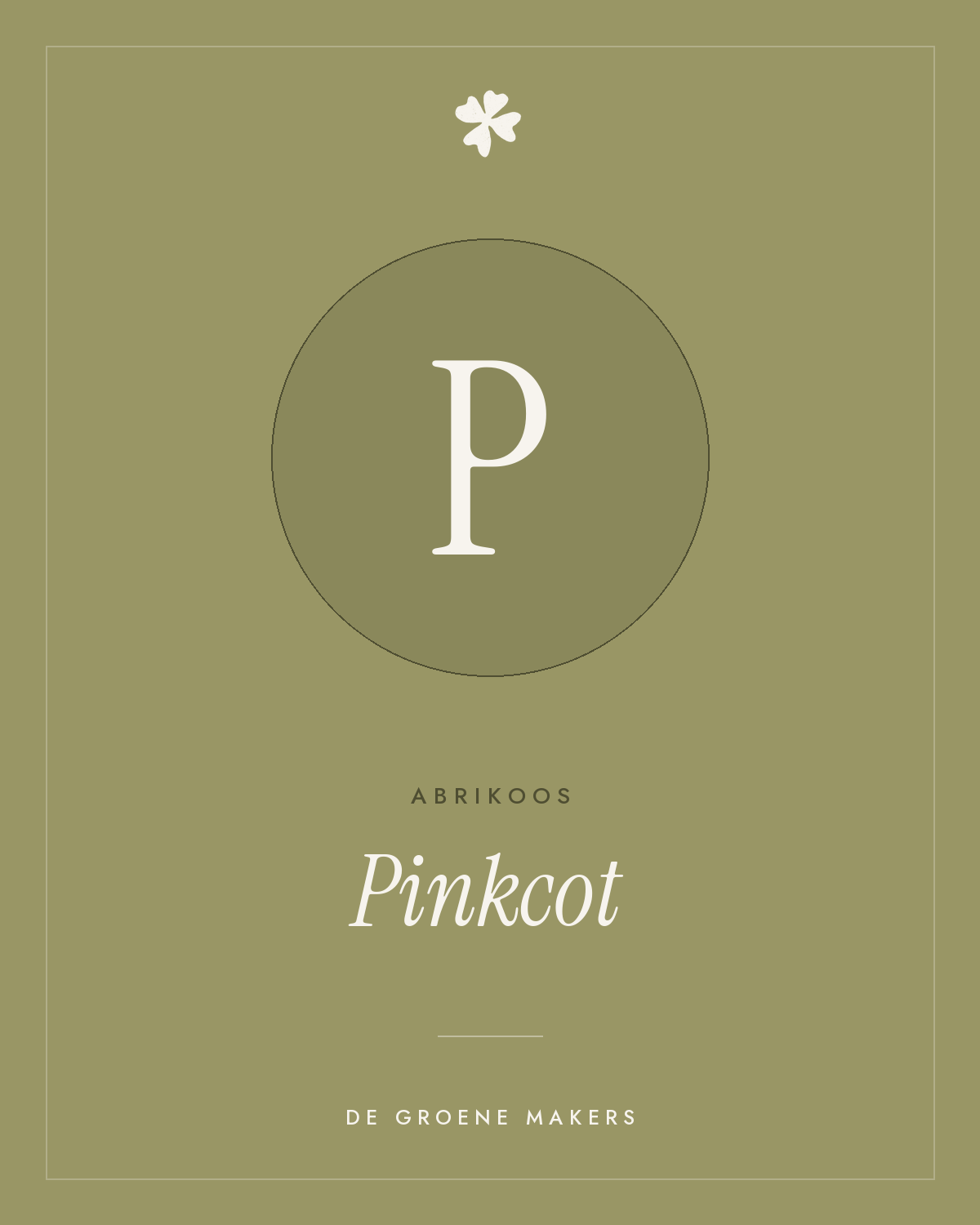 Abrikoos 'Pinkcot' – De Groene Makers