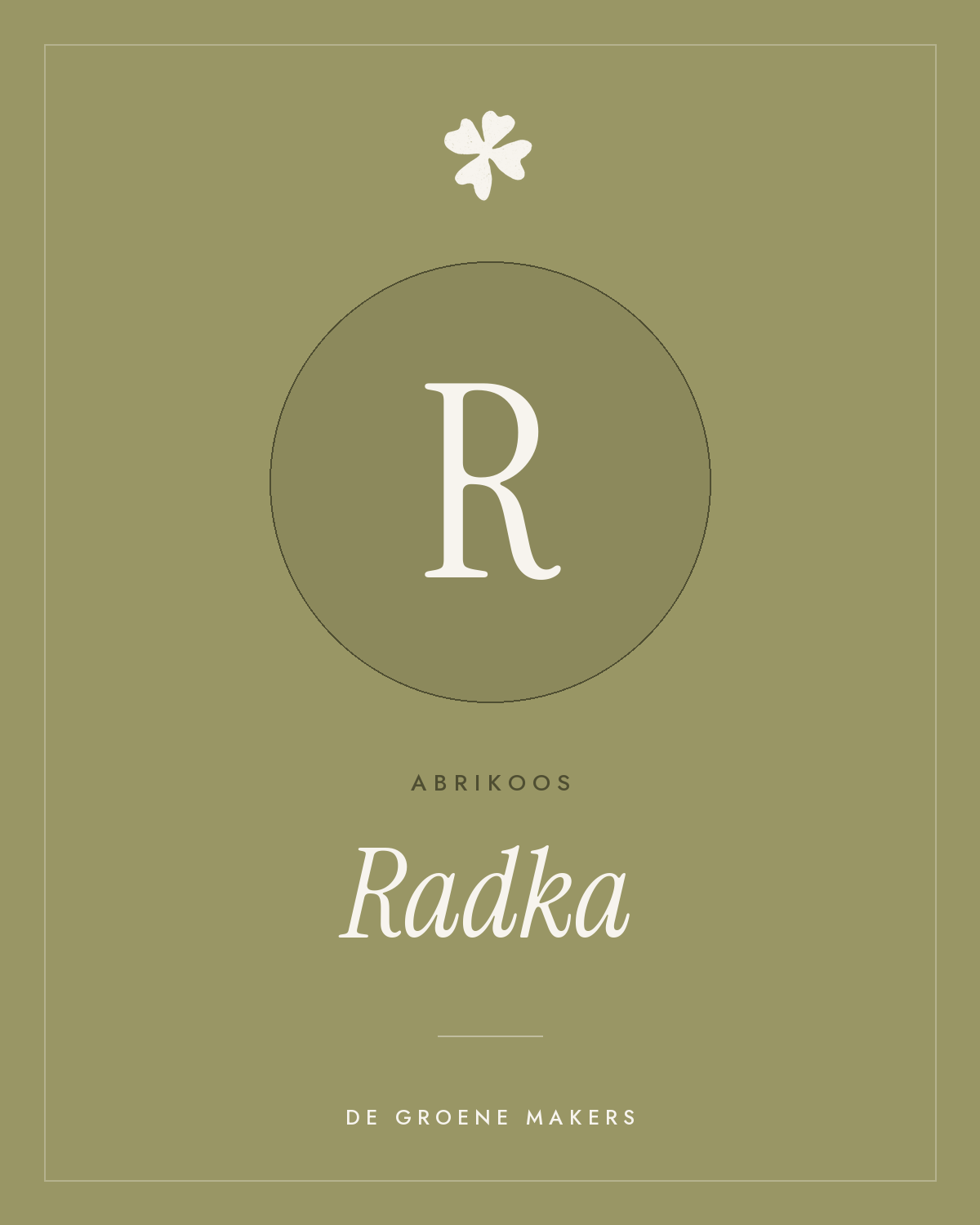 Abrikoos ‘Radka’ - De Groene Makers