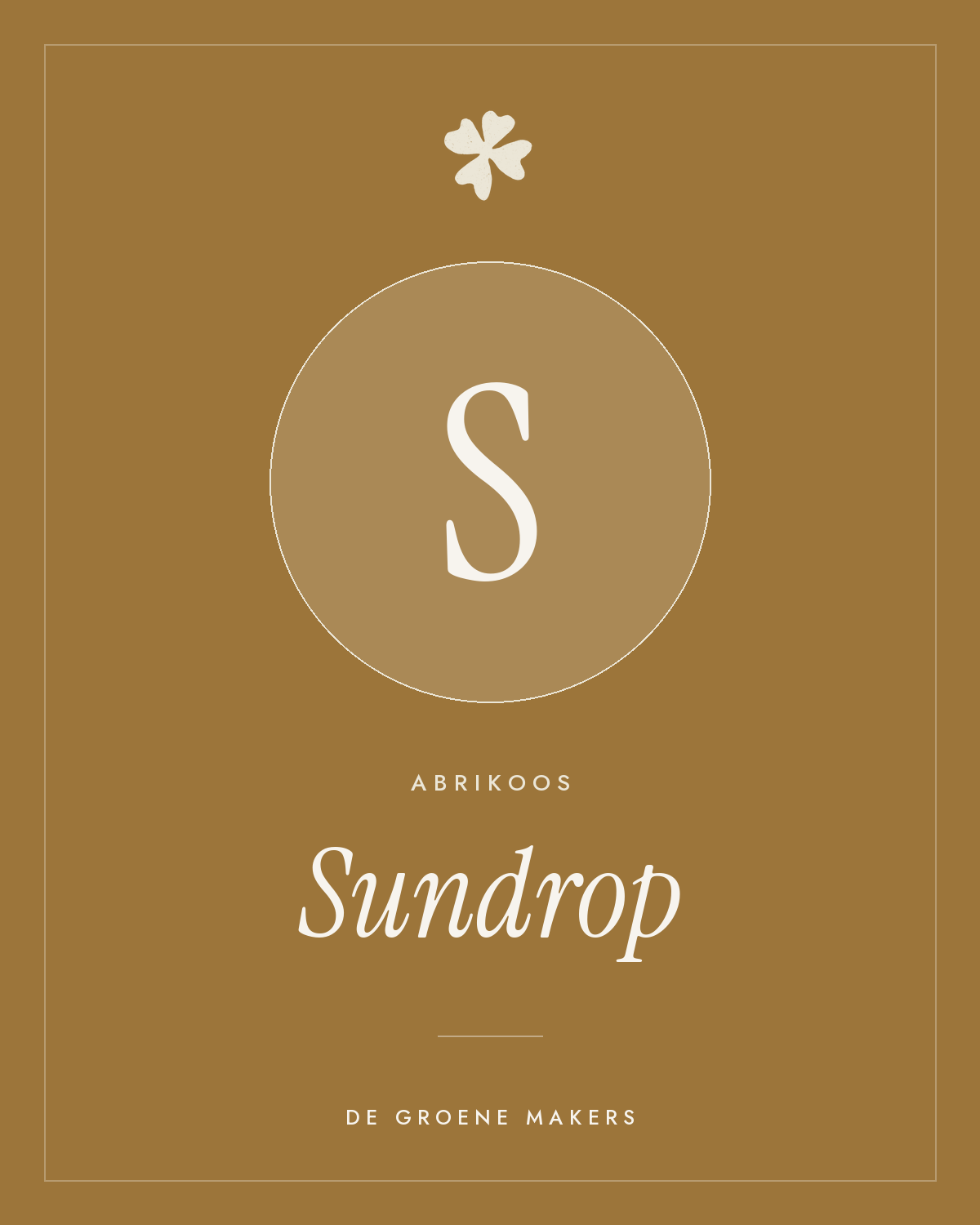 Abrikoos ‘Sundrop’ - De Groene Makers