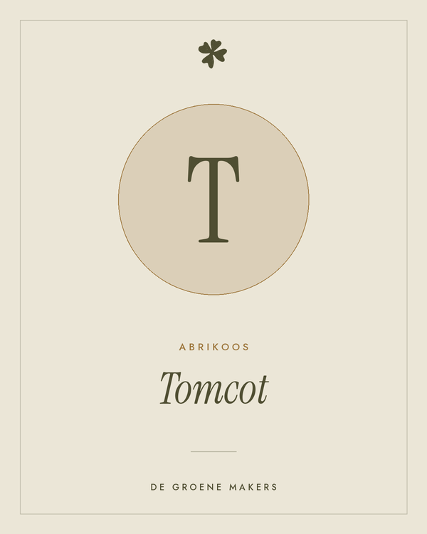 Abrikoos 'Tomcot' – De Groene Makers