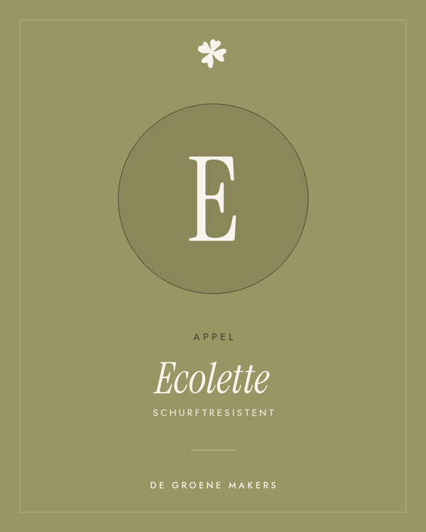 Appel 'Ecolette' – De Groene Makers