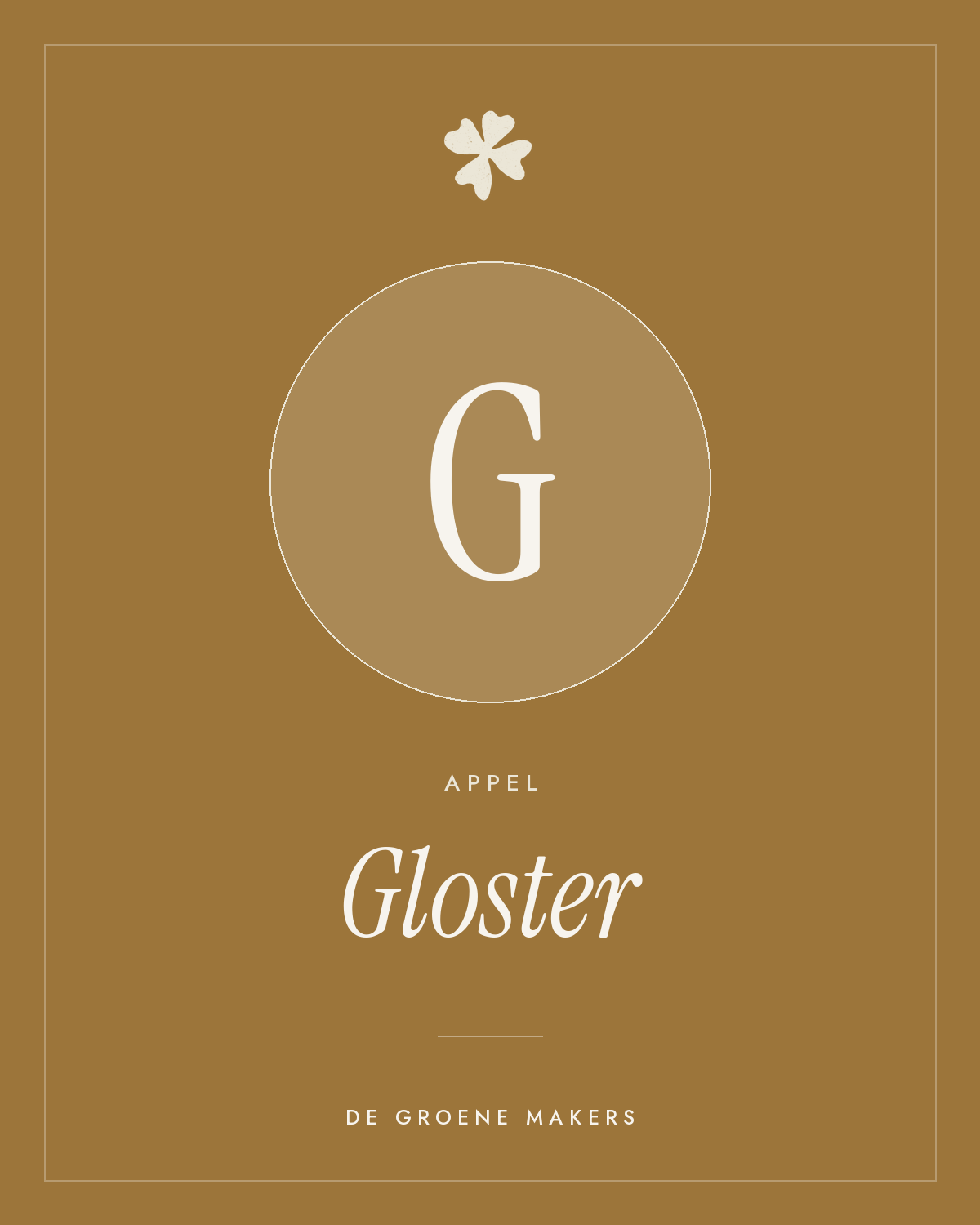 Appel ‘Gloster’ - De Groene Makers