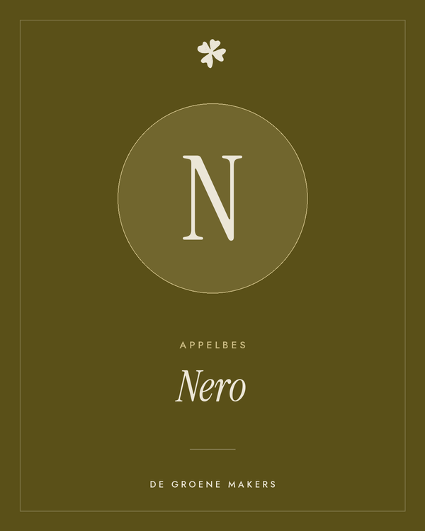 Appelbes 'Nero' – De Groene Makers