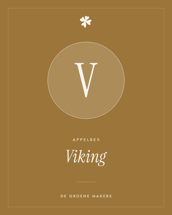 Appelbes 'Viking' – De Groene Makers