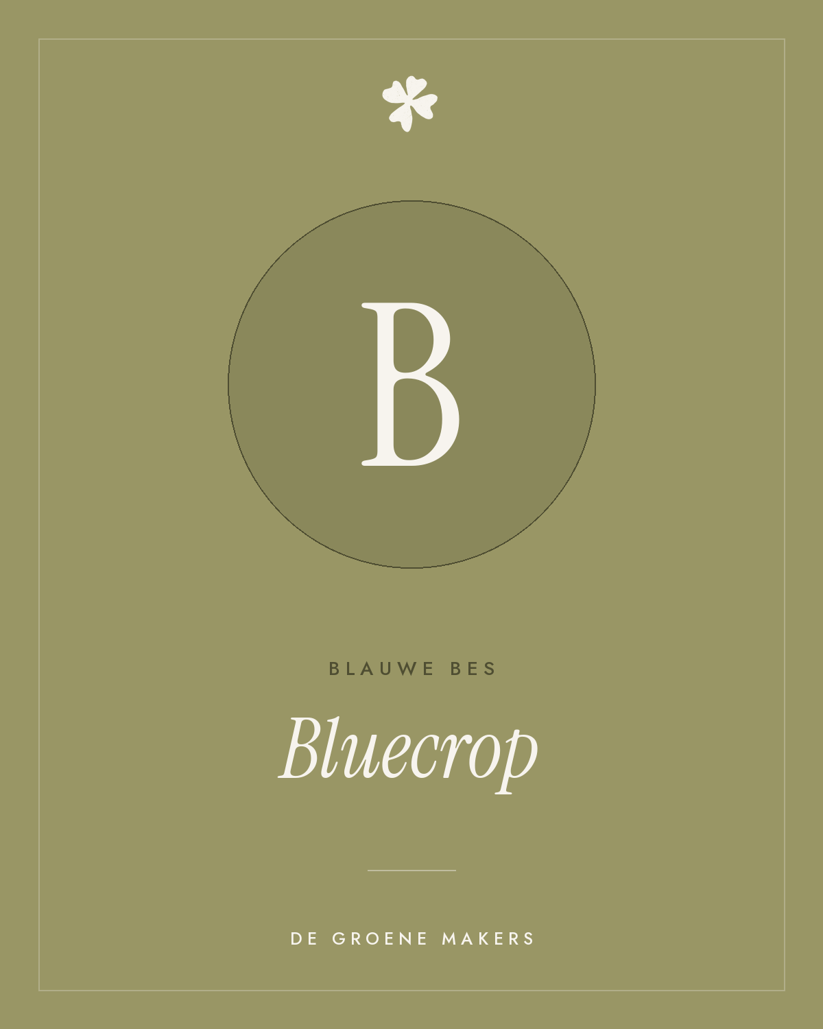 Blauwe bes 'Bluecrop' – De Groene Makers