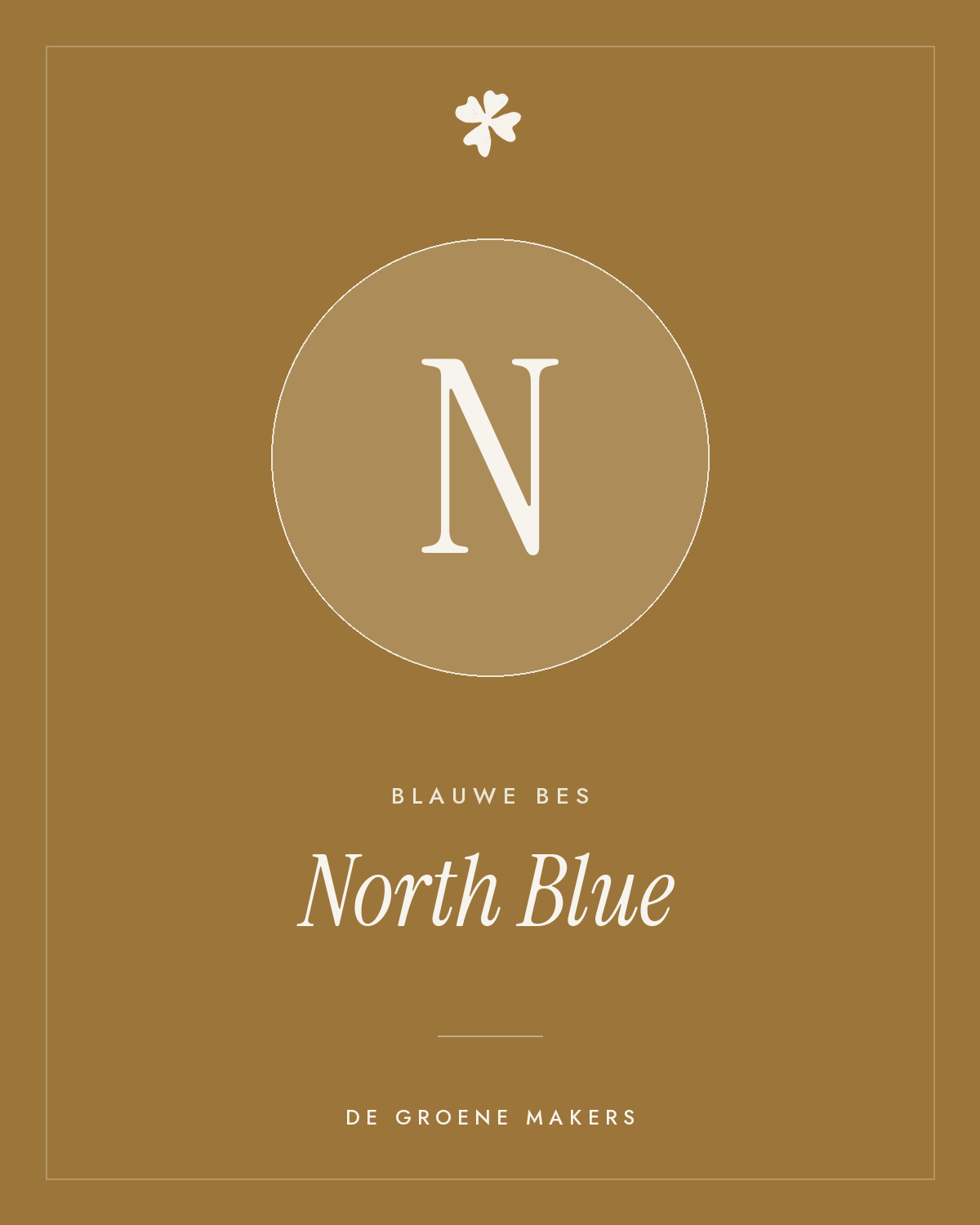 Blauwe bes 'North Blue' – De Groene Makers