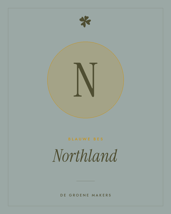 Blauwe bes 'Northland' – De Groene Makers