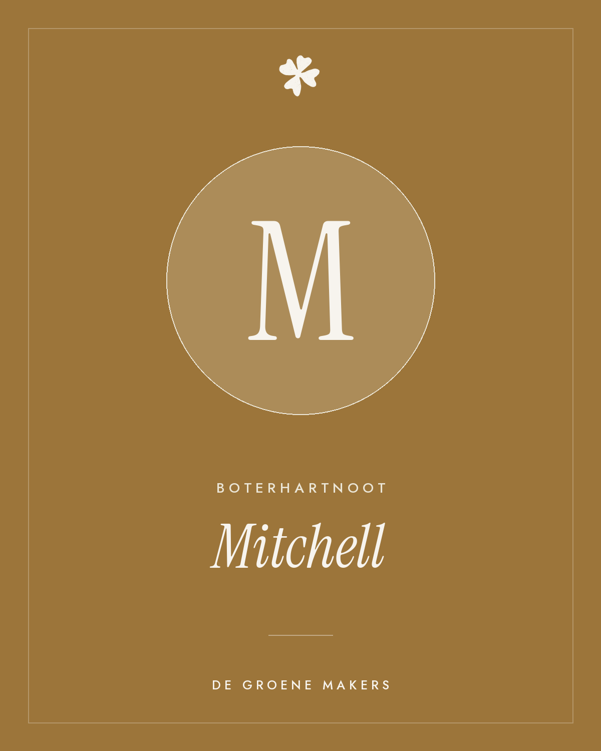 Boterhartnoot 'Mitchell' – De Groene Makers