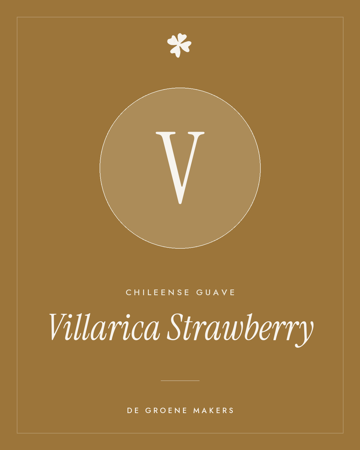 Chileense guave 'Villarica Strawberry' – De Groene Makers