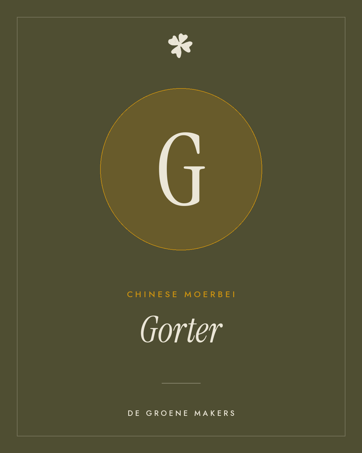 Chinese moerbei 'Gorter' – De Groene Makers