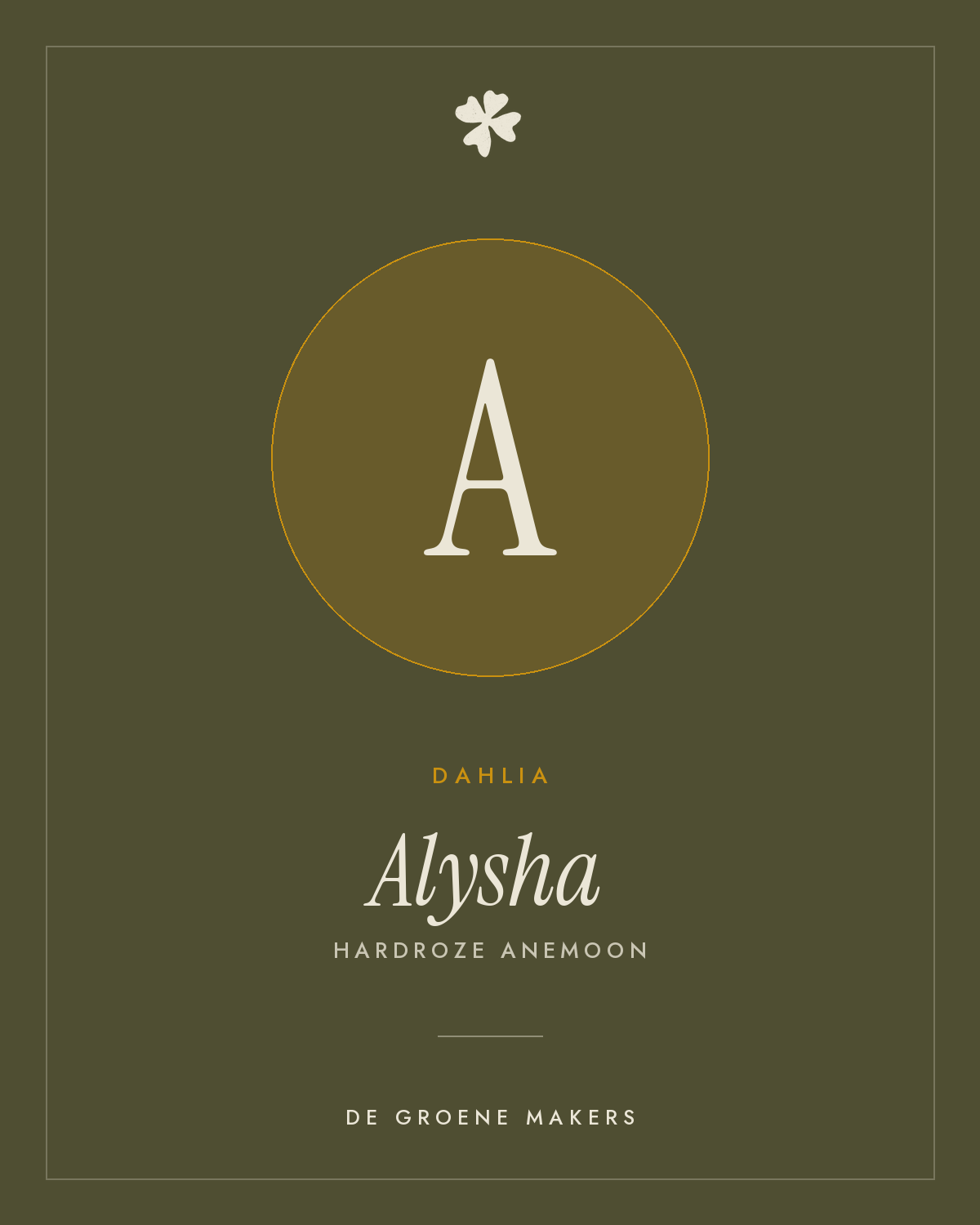 Dahlia 'Alysha' – De Groene Makers
