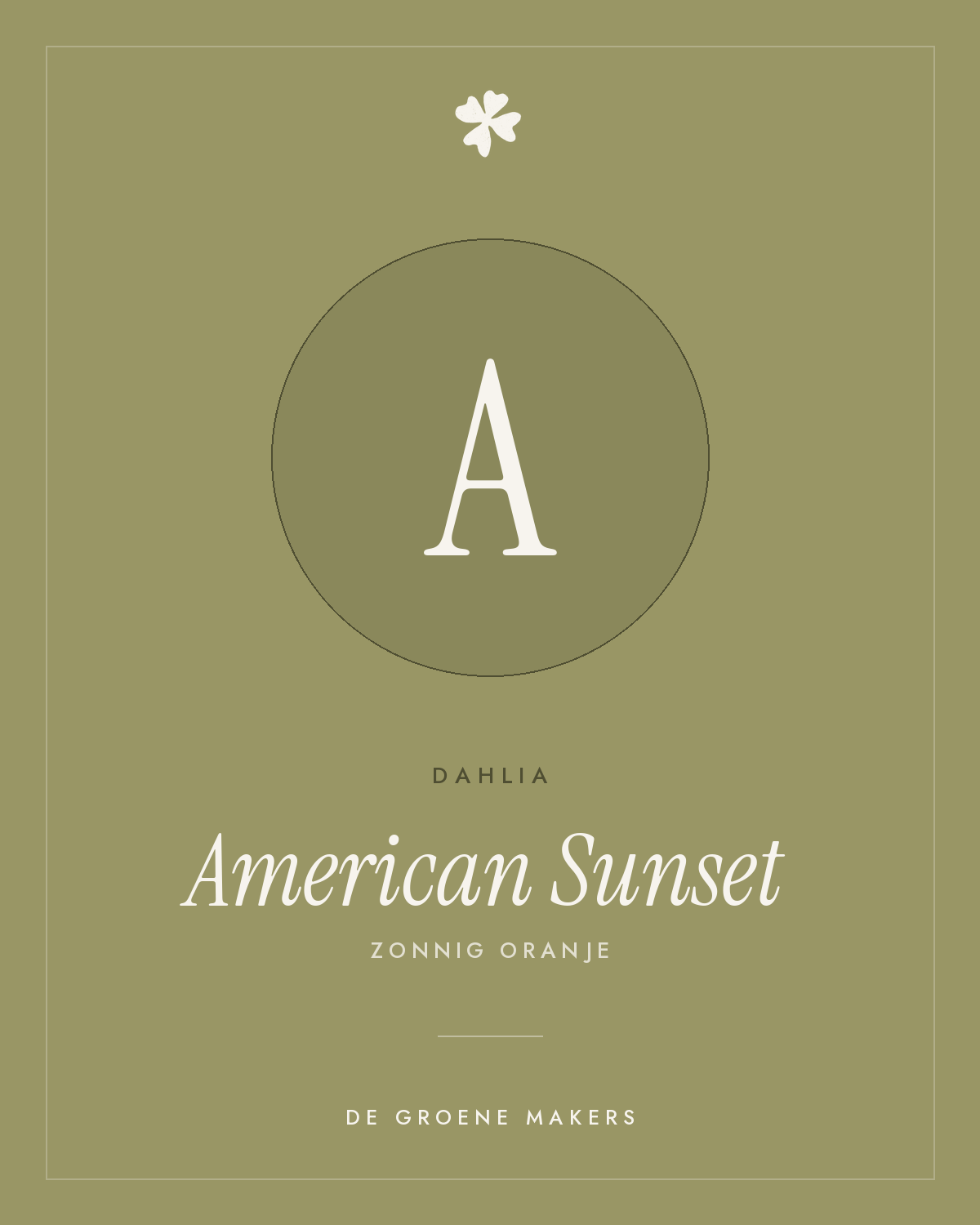 Dahlia 'American Sunset' – De Groene Makers