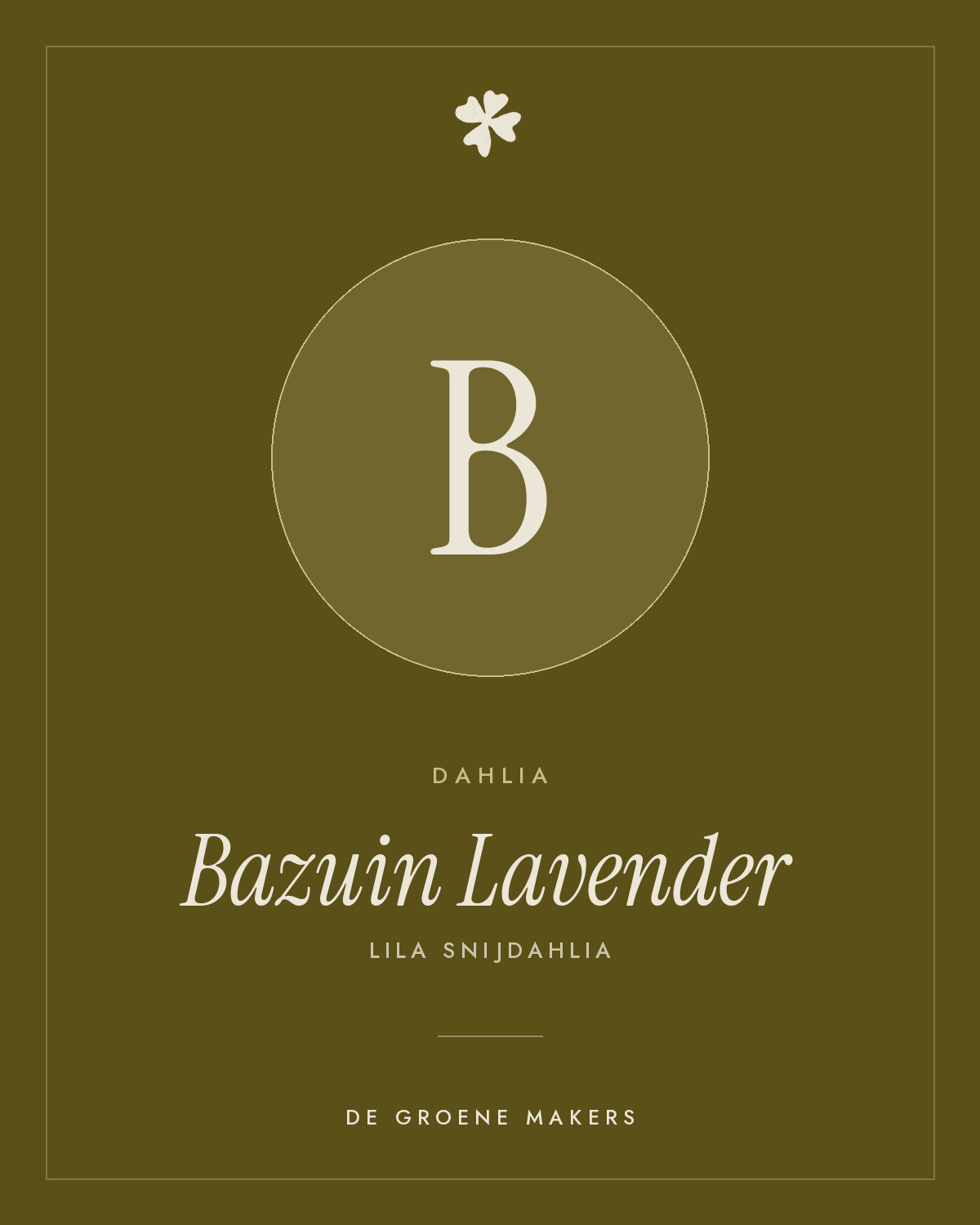 Dahlia 'Bazuin Lavender' – De Groene Makers