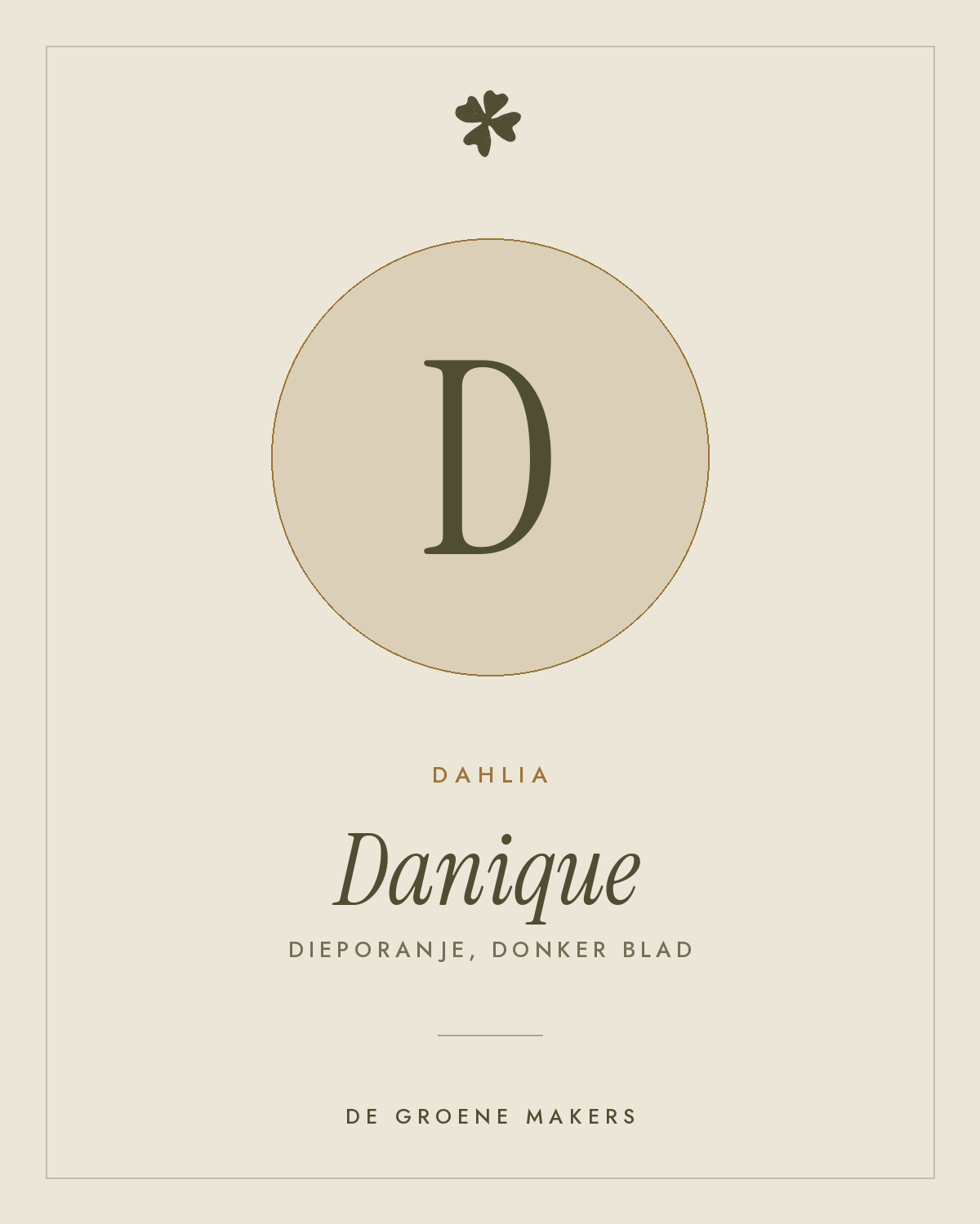 Dahlia 'Danique' – De Groene Makers
