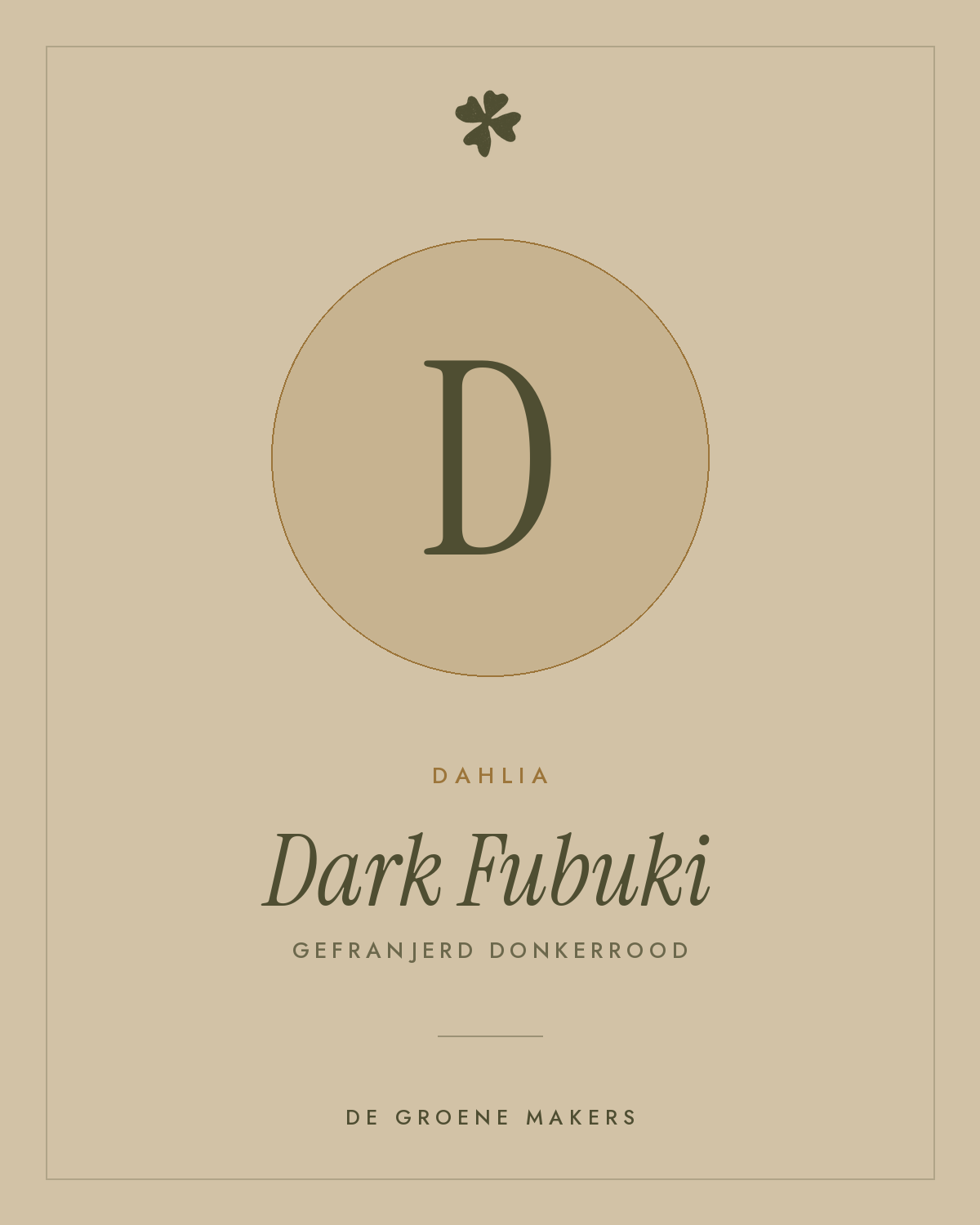 Dahlia 'Dark Fubuki' – De Groene Makers