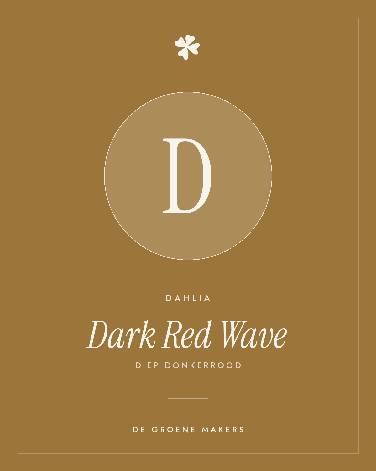 Dahlia 'Dark Red Wave' – De Groene Makers