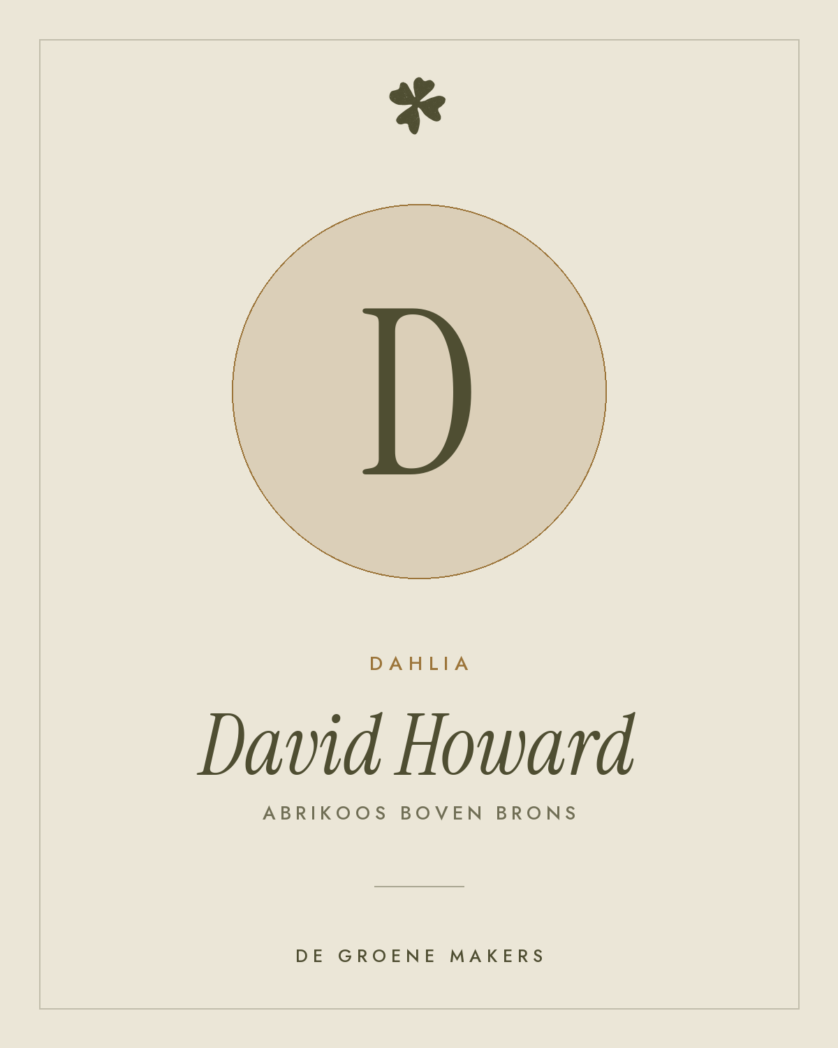 Dahlia 'David Howard' – De Groene Makers