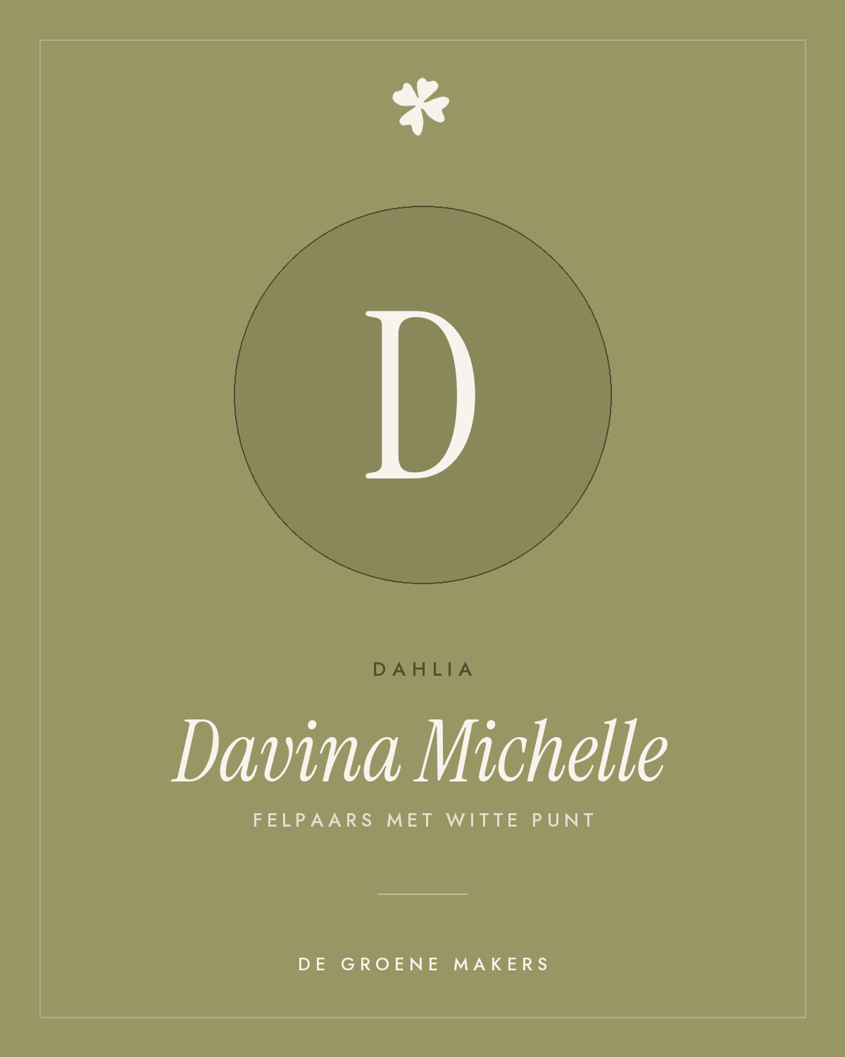 Dahlia 'Davina Michelle' – De Groene Makers