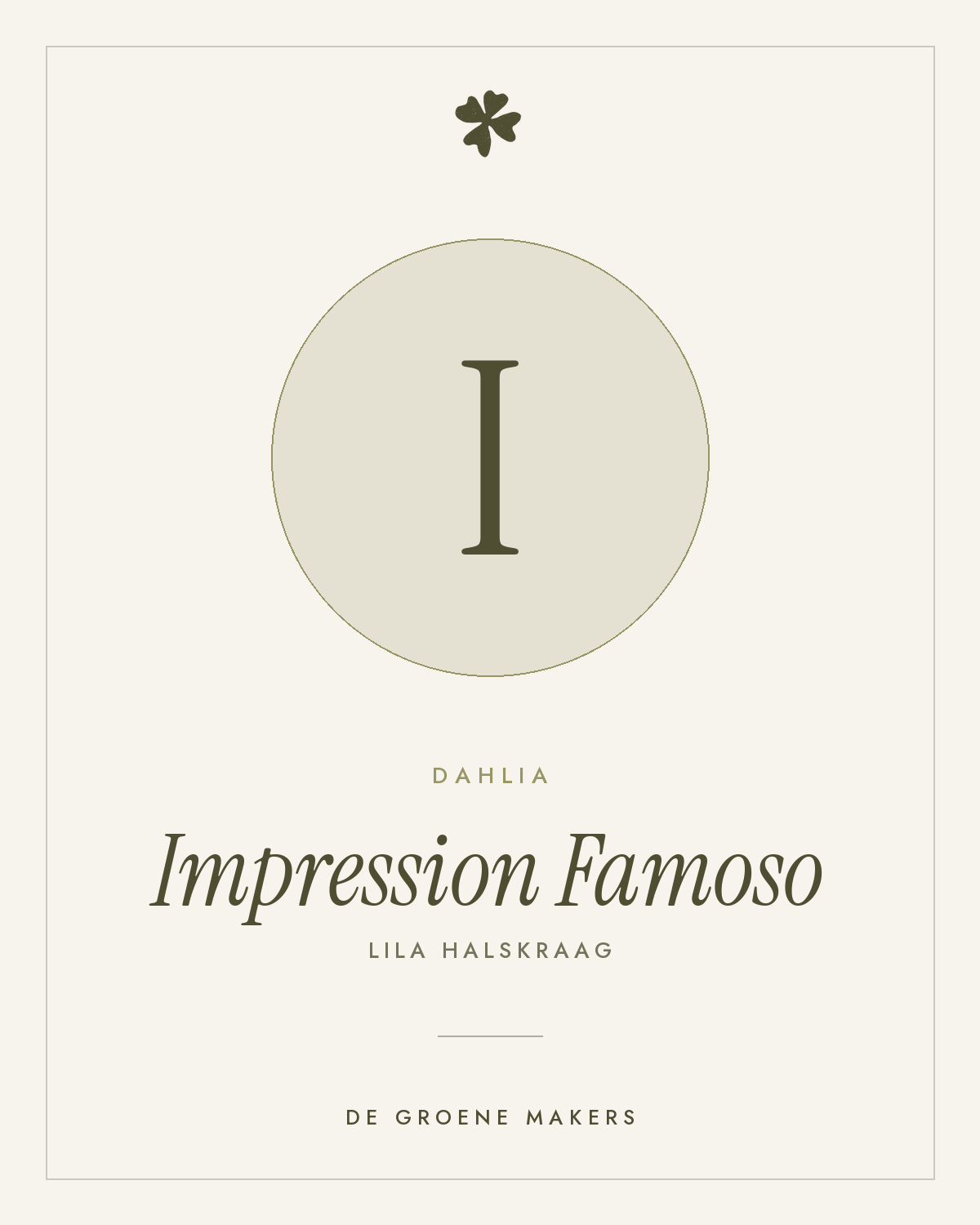 Dahlia 'Impression Famoso' – De Groene Makers
