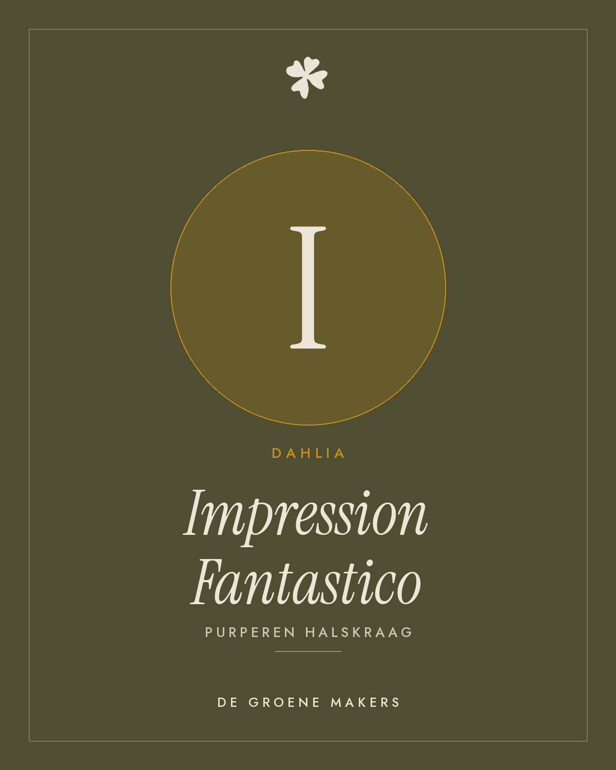 Dahlia 'Impression Fantastico' – De Groene Makers